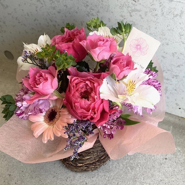 母の日ギフト ピンクM【母の日カード付き】