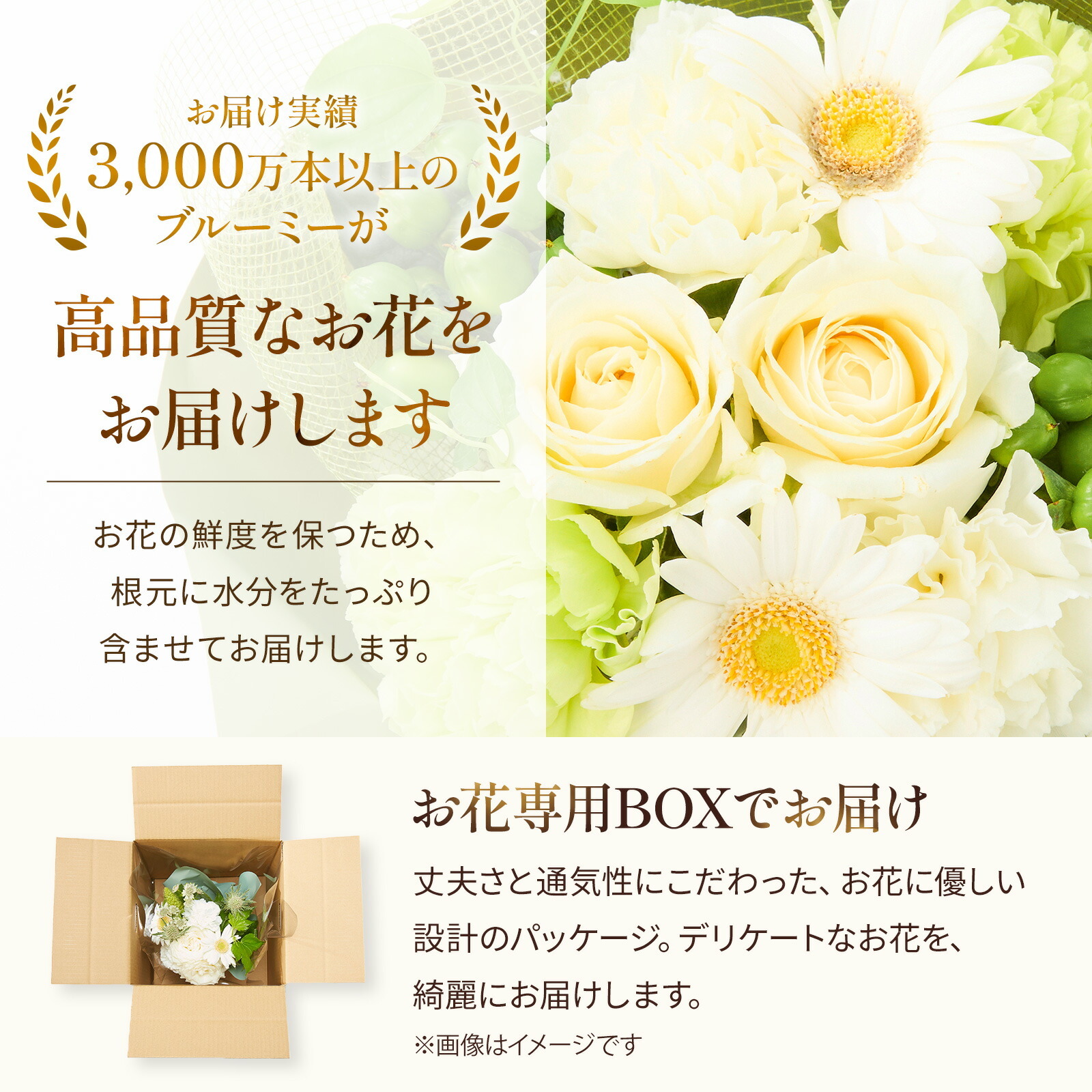 そのまま飾れるブーケ(白色、Sサイズ) | お花のギフト通販 ブルーミー