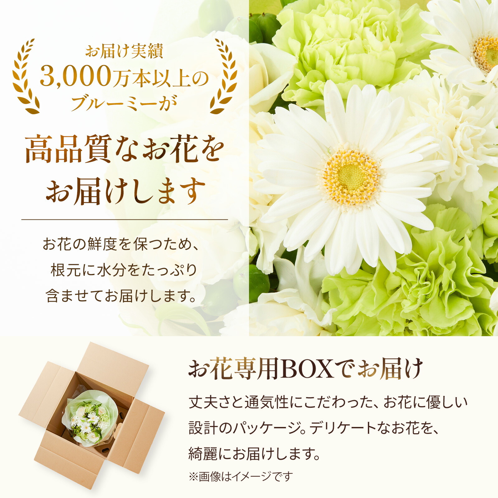 そのまま飾れるブーケ(白色、Mサイズ) Thank youバルーン付き | お花の