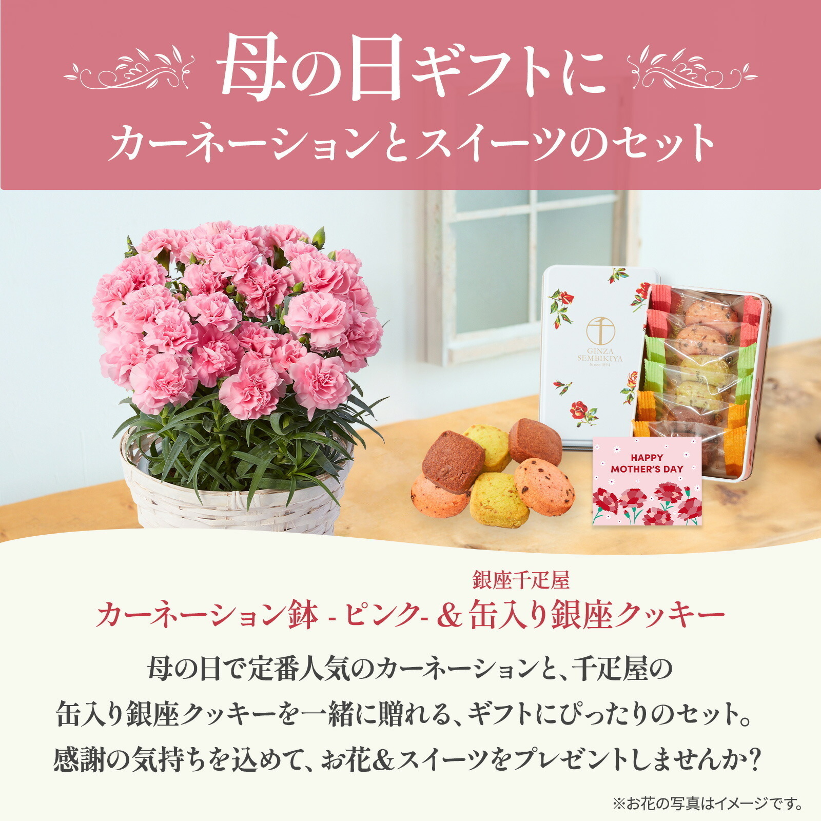 鉢植え カーネーション ピンク(クレア) と 銀座千疋屋クッキー のセット【母の日カード付き】