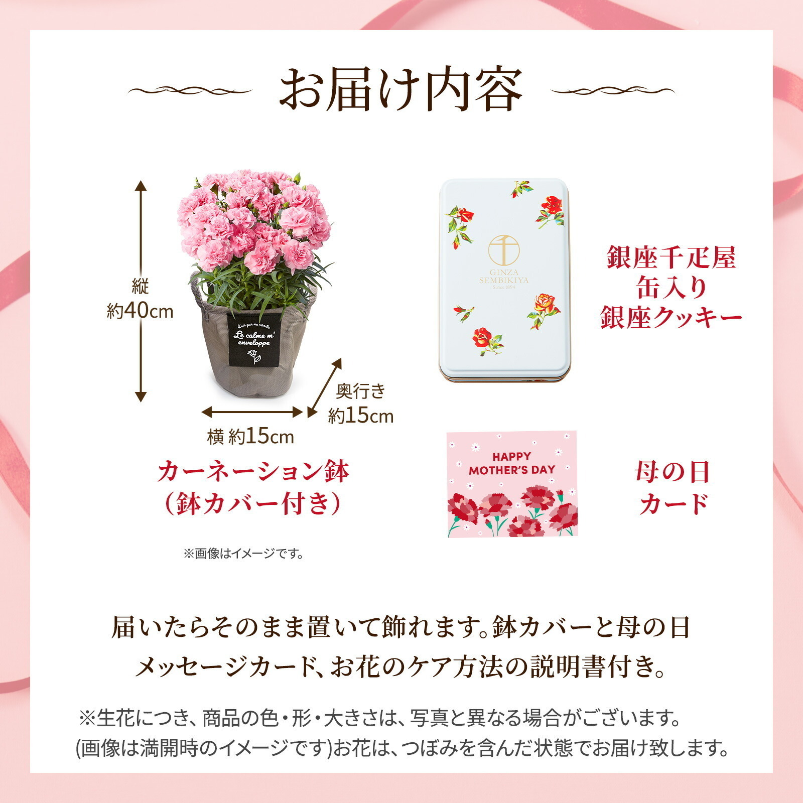 鉢植え カーネーション ピンク(クレア) と 銀座千疋屋クッキー のセット【母の日カード付き】