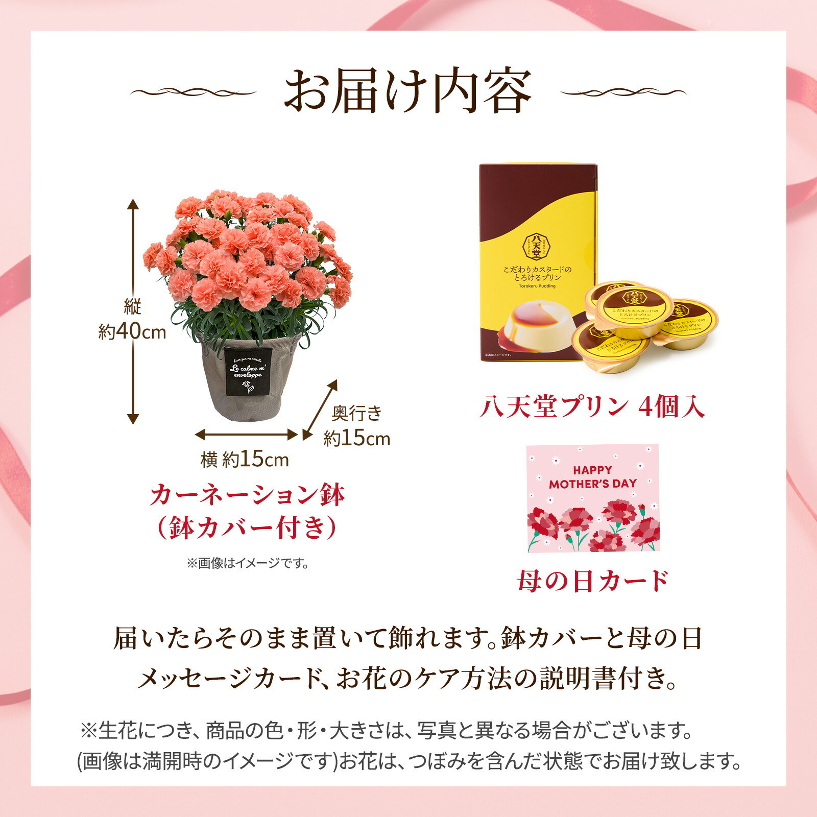 鉢植え カーネーション オレンジ(メープルシフォン) と 八天堂プリン のセット【母の日カード付き】