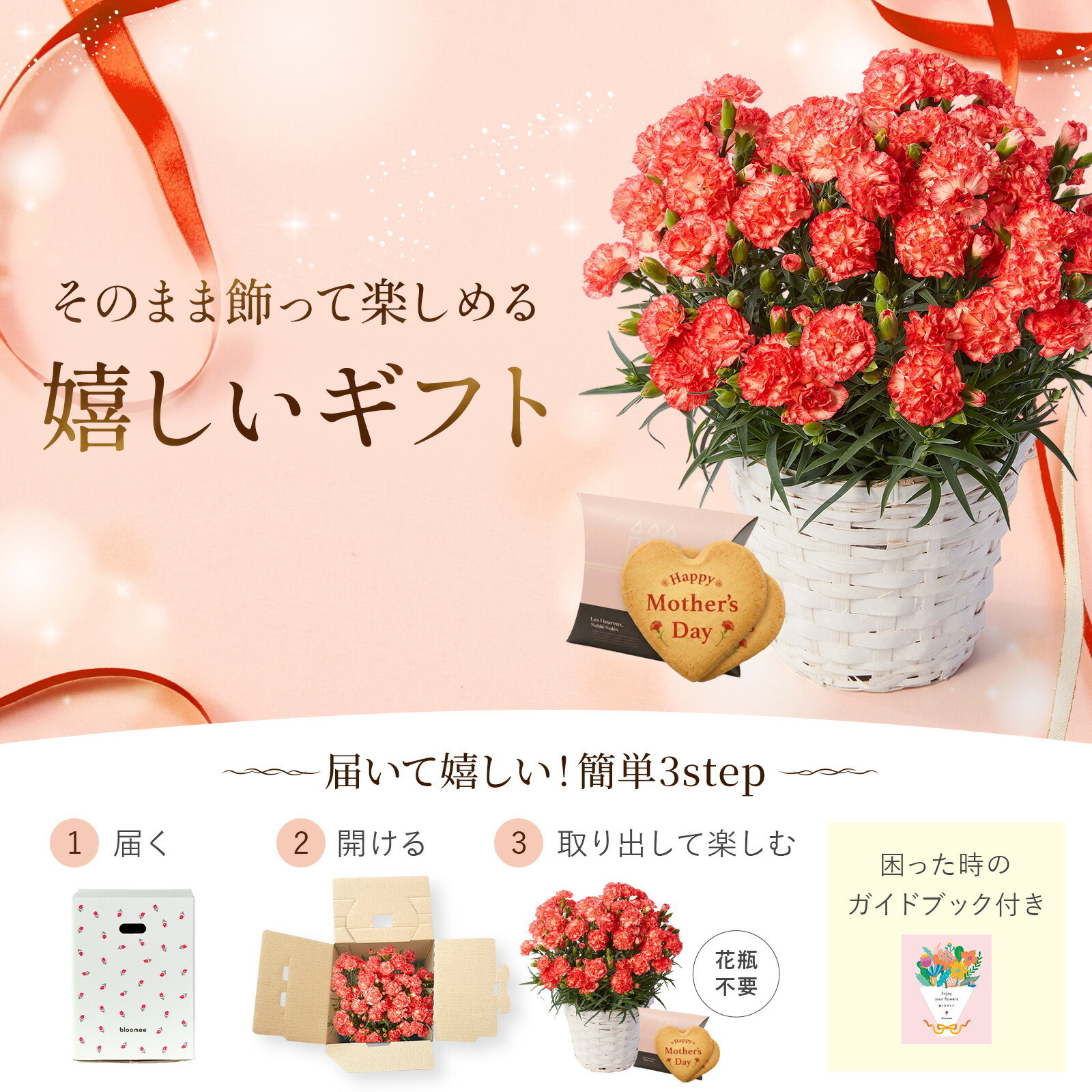 鉢植え カーネーション オレンジ(テキーラ) と アンリ・シャルパンティエ しあわせサブレ のセット【母の日カード付き】