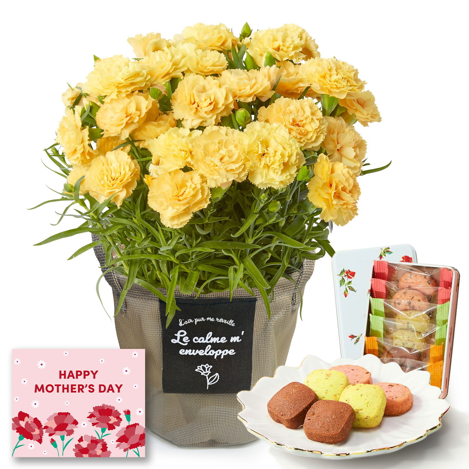 鉢植え カーネーション 黄色(ハニームーン) と 銀座千疋屋クッキー のセット【母の日カード付き】