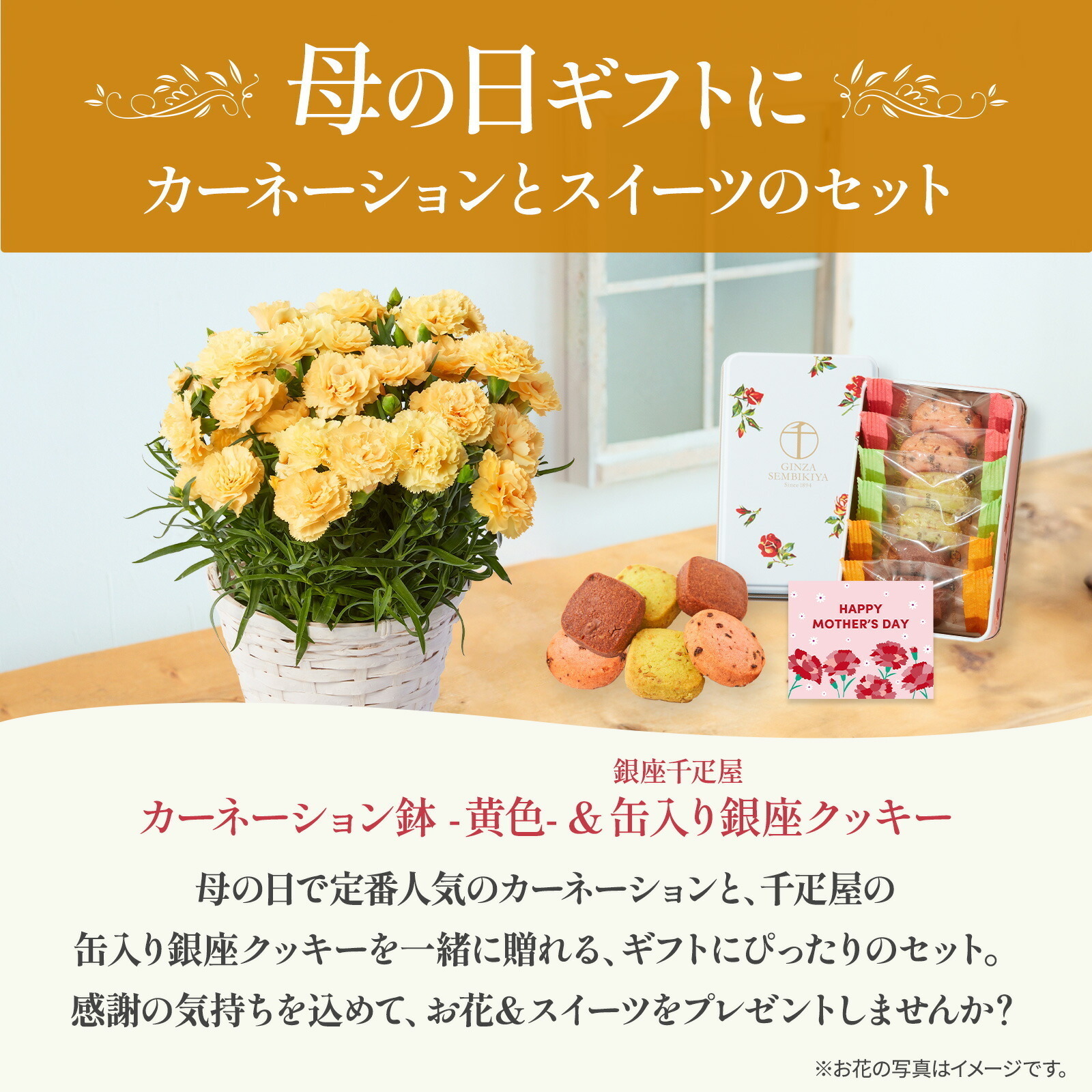 鉢植え カーネーション 黄色(ハニームーン) と 銀座千疋屋クッキー のセット【母の日カード付き】