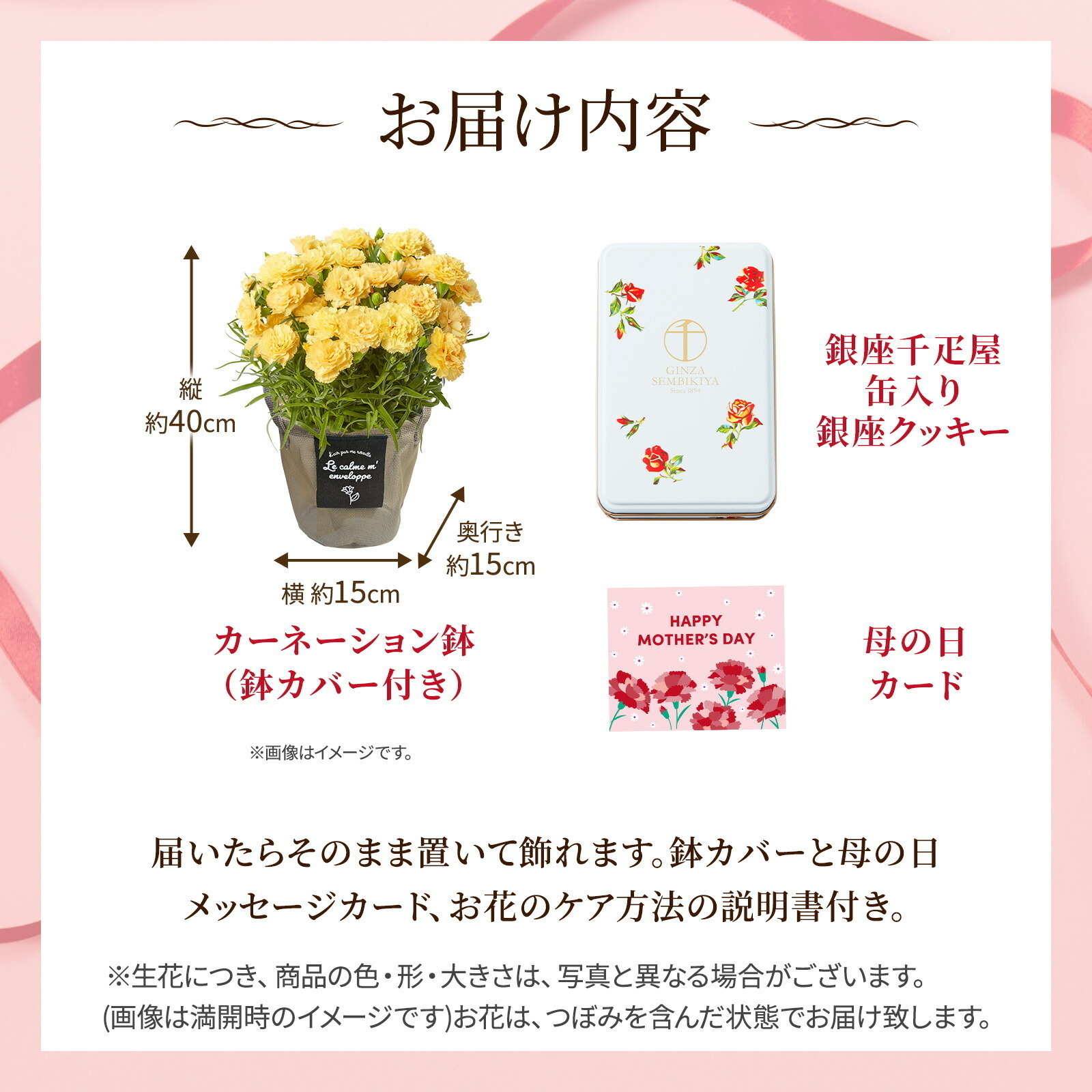 鉢植え カーネーション 黄色(ハニームーン) と 銀座千疋屋クッキー のセット【母の日カード付き】