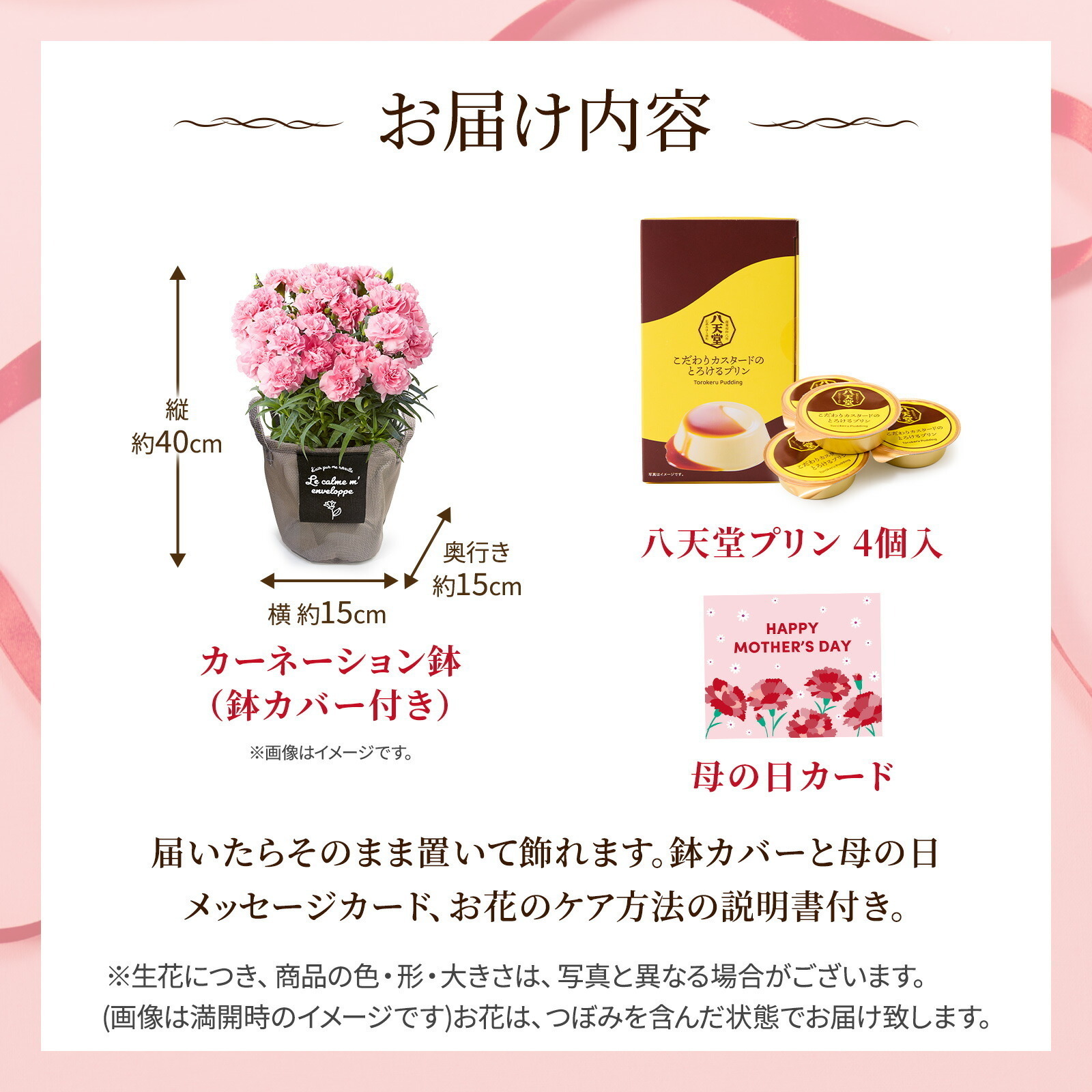 鉢植え カーネーション ピンク(クレア) と 八天堂プリン のセット【母の日カード付き】