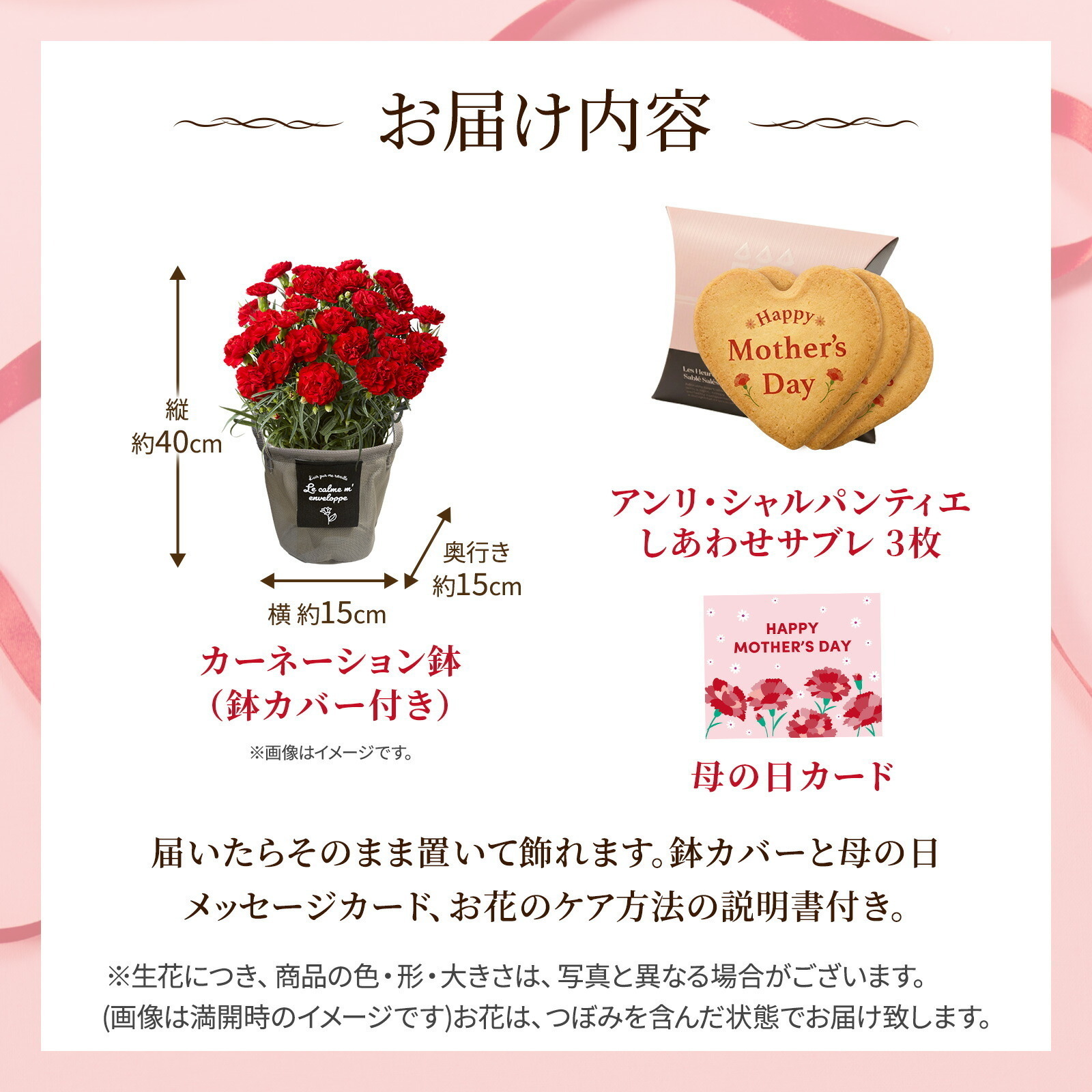 鉢植え カーネーション 赤色 と アンリ・シャルパンティエ しあわせサブレ のセット【母の日カード付き】