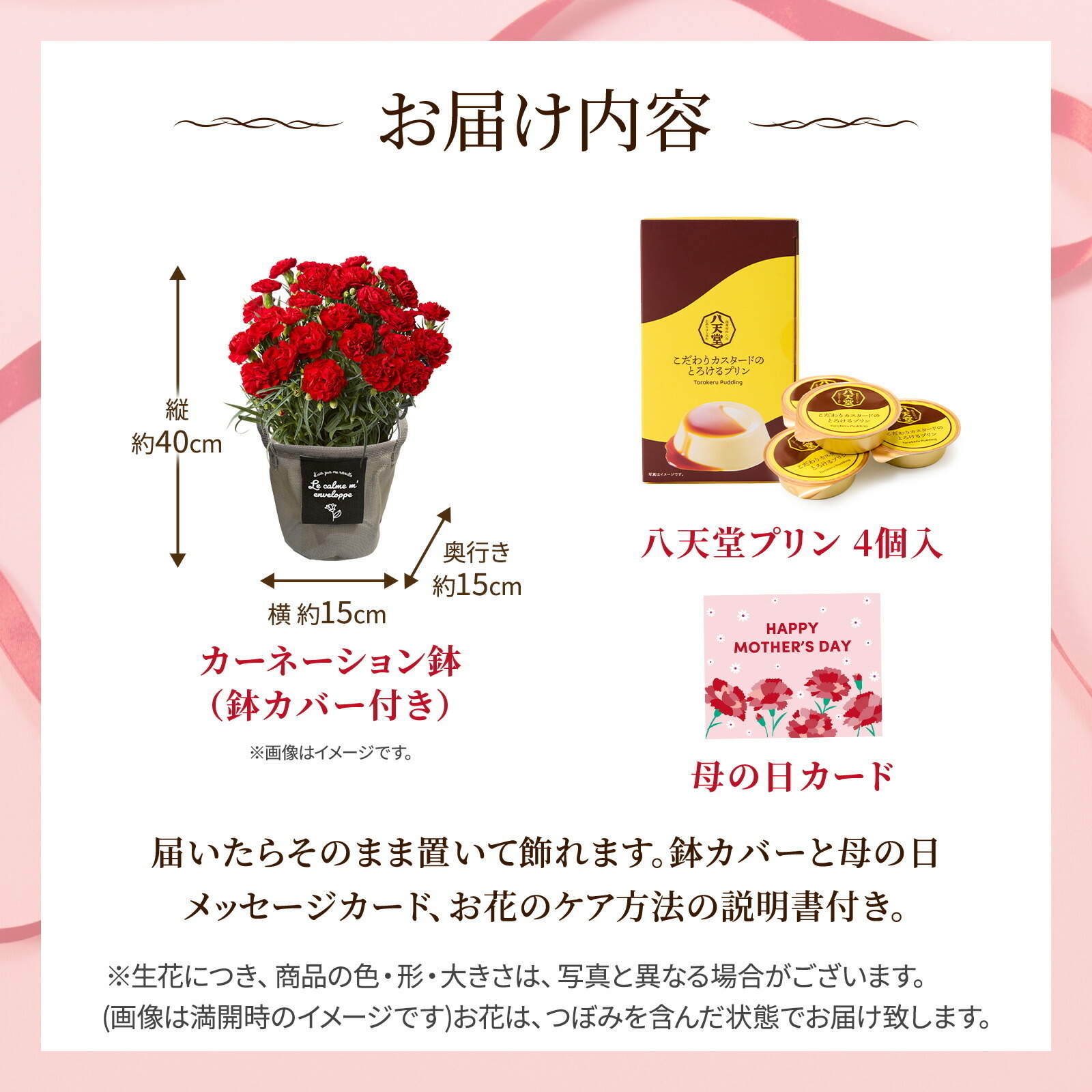 鉢植え カーネーション 赤色 と 八天堂プリン のセット【母の日カード付き】