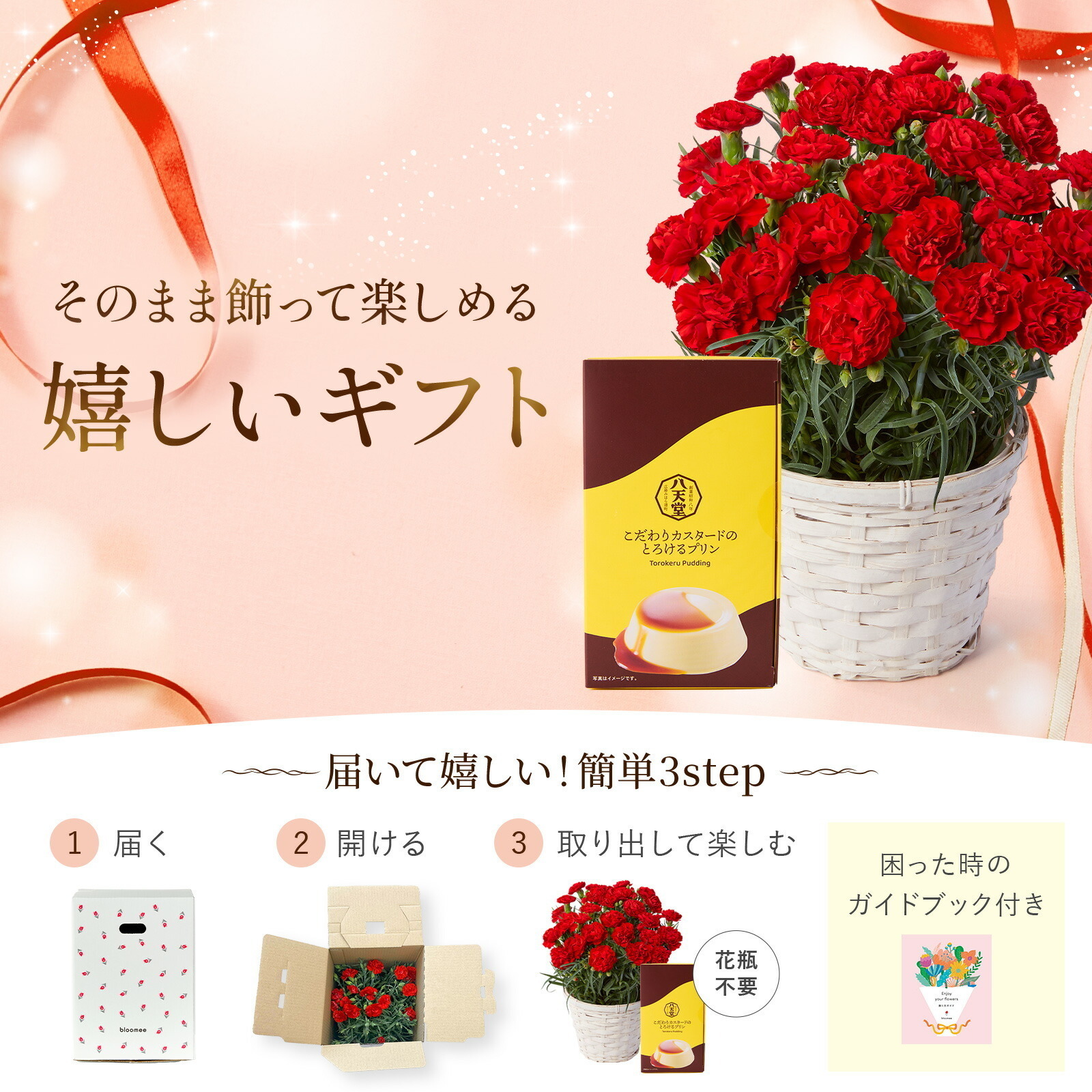 鉢植え カーネーション 赤色 と 八天堂プリン のセット【母の日カード付き】