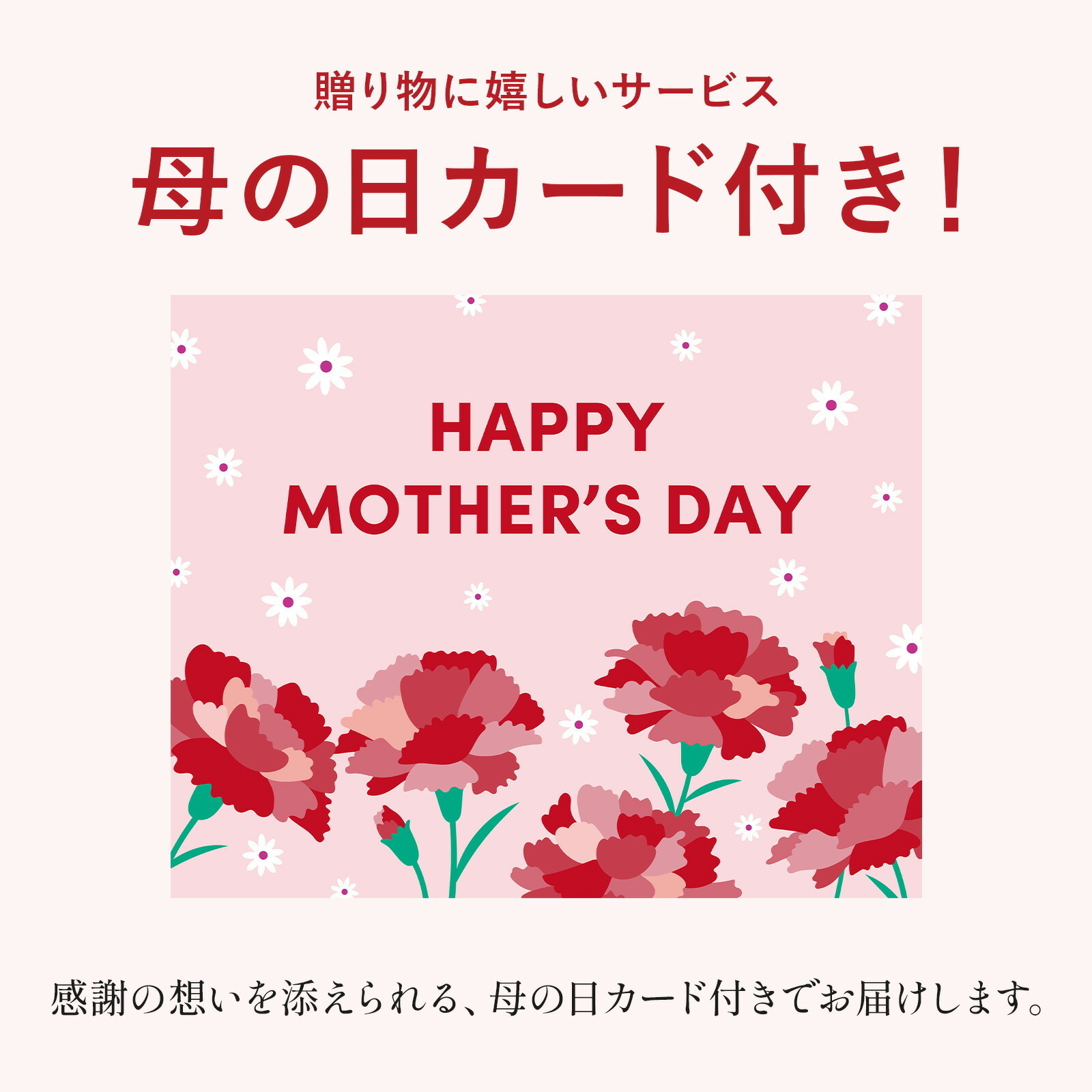 鉢植え カーネーション 赤色 と 八天堂プリン のセット【母の日カード付き】