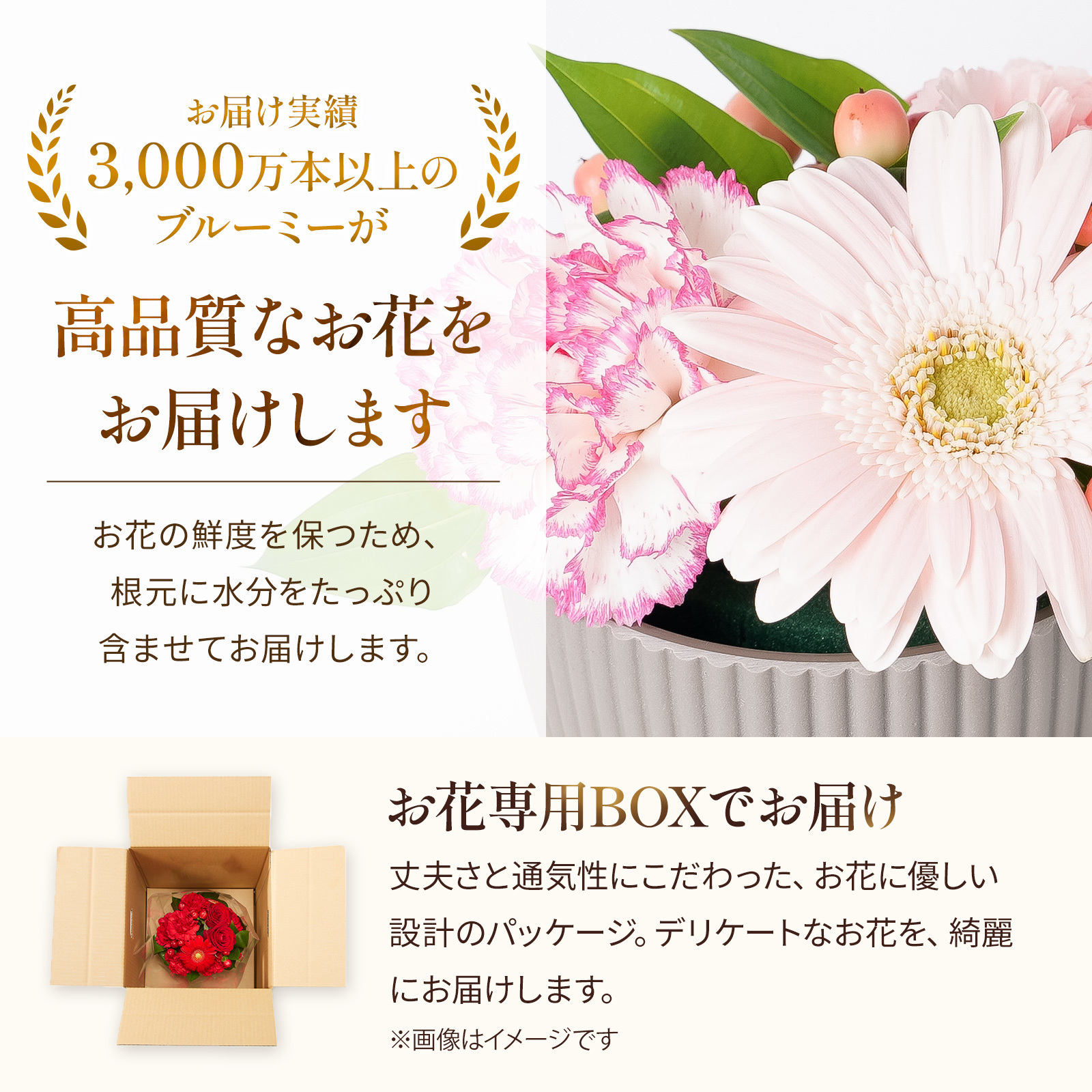 アレンジメント XSサイズ ピンク【母の日カード付き】