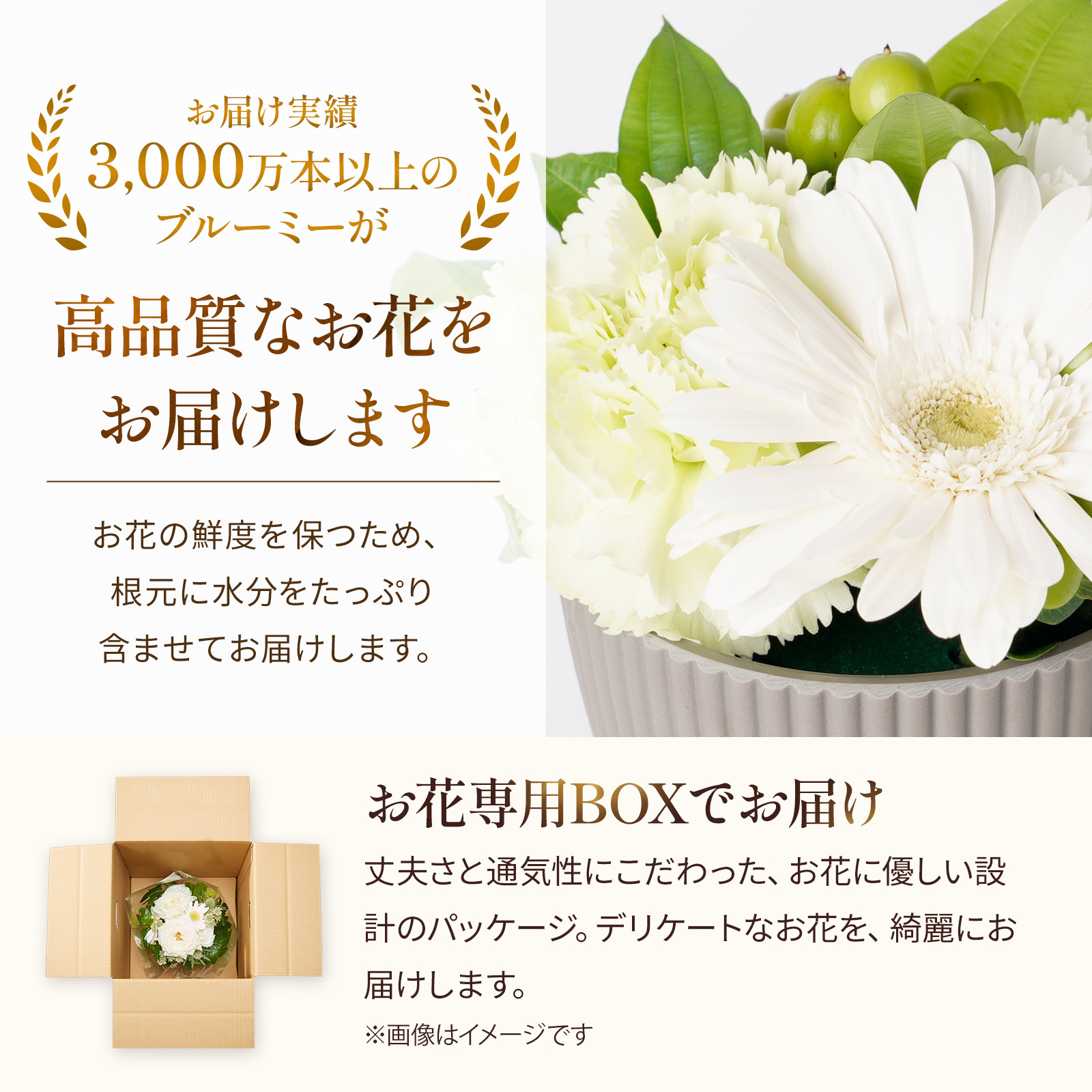 アレンジメント XSサイズ ホワイト【母の日カード付き】