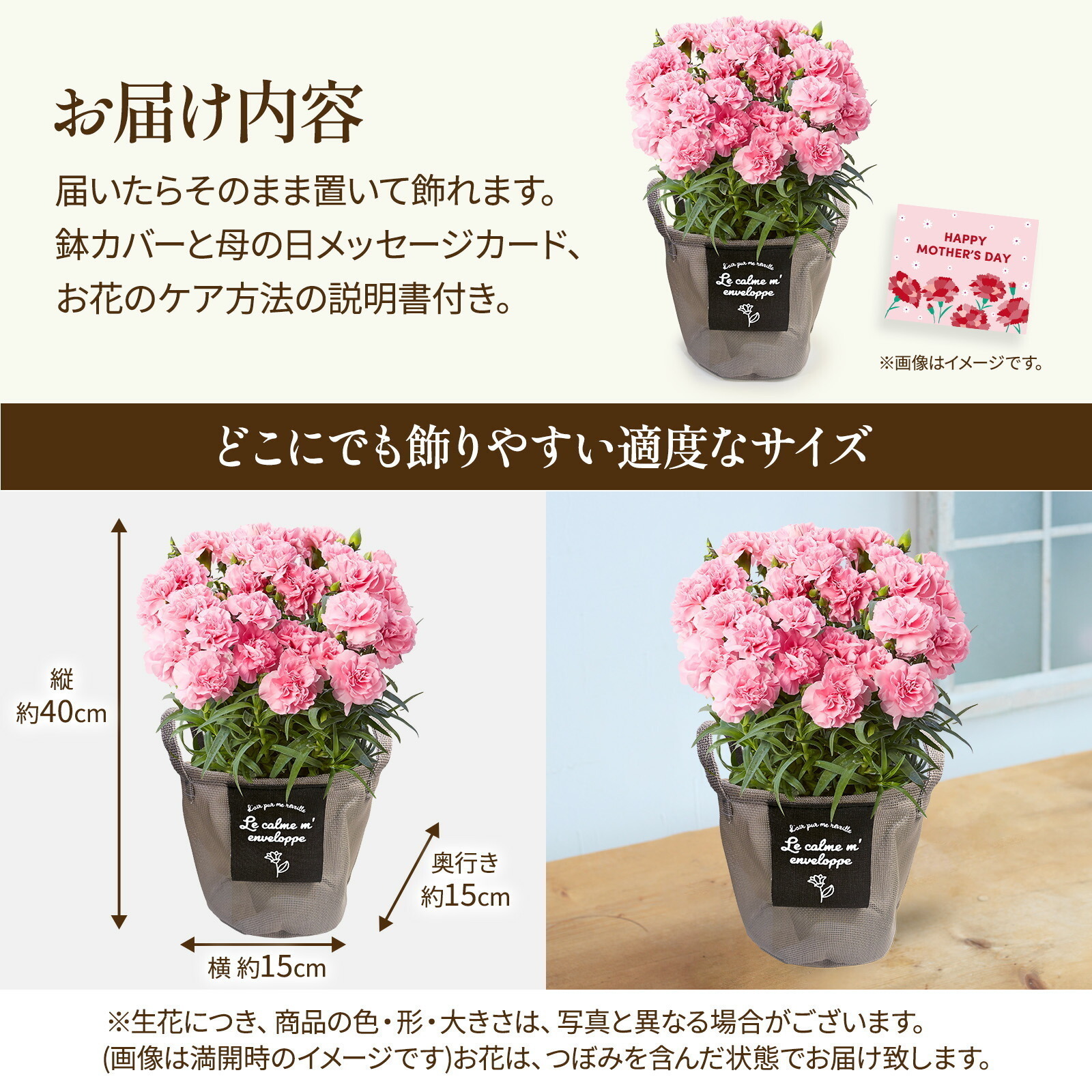 ⭐sale⭐カーネーション⭐付け下げ⭐ベビーピンク系 園芸ネット本店｜[送料無料][2017年母の日ギフト][予約]カーネーション