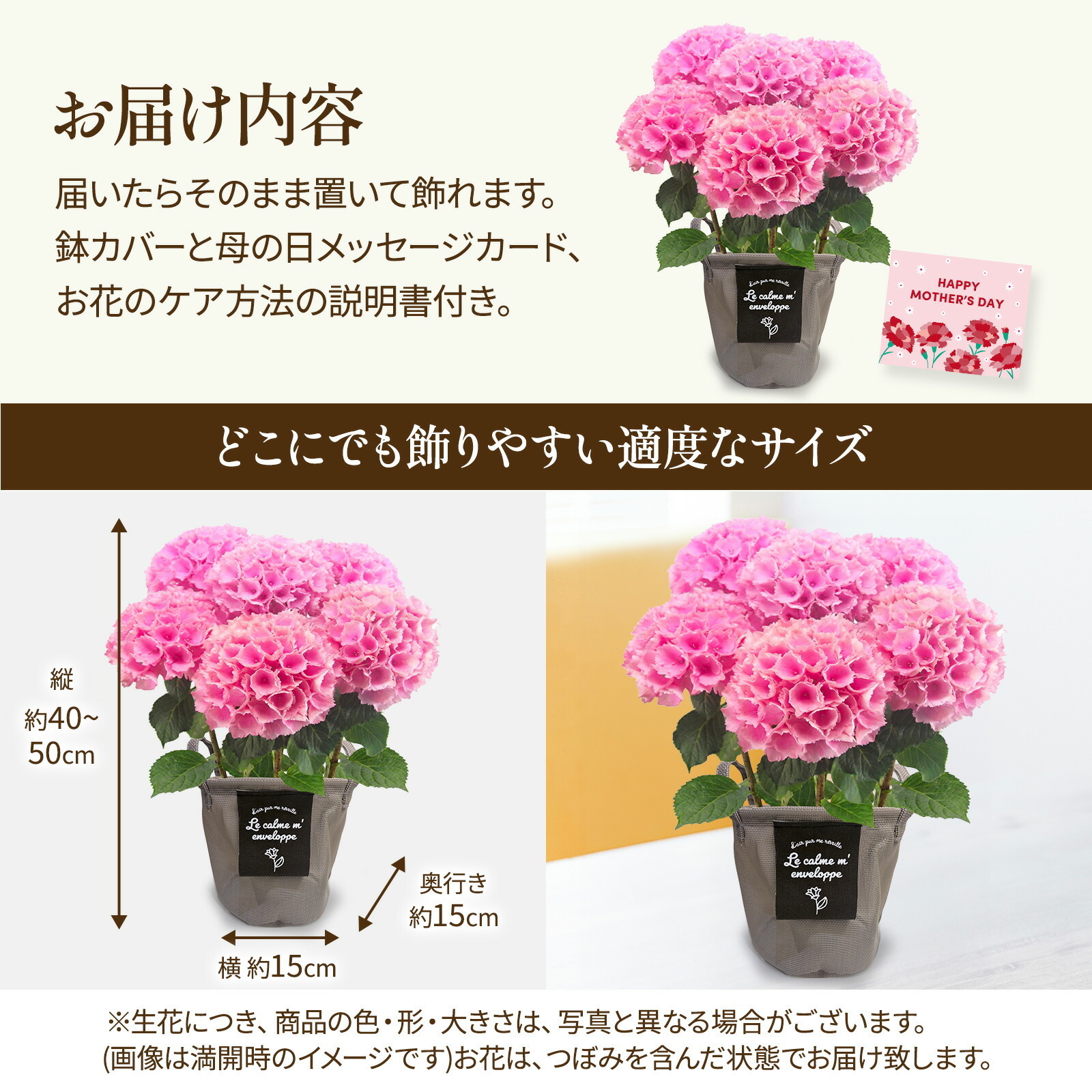 母の日までに届く】鉢植え あじさい 紫陽花 5号鉢 | お花のギフト通販