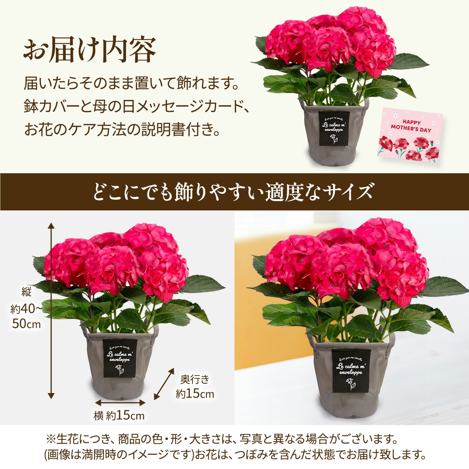 母の日までに届く】鉢植え あじさい 紫陽花 5号鉢 赤色(レッド