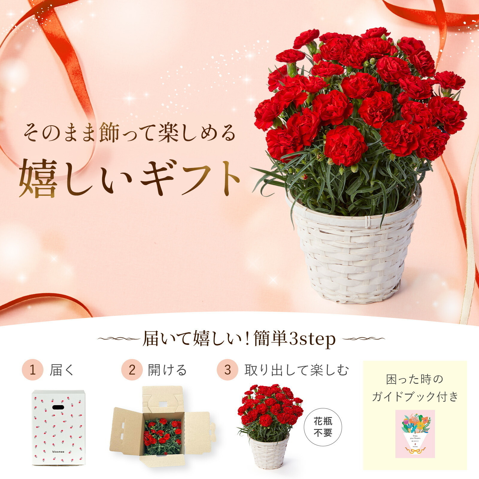 鉢植え カーネーション 赤色 編カバーホワイト【母の日カード付き】