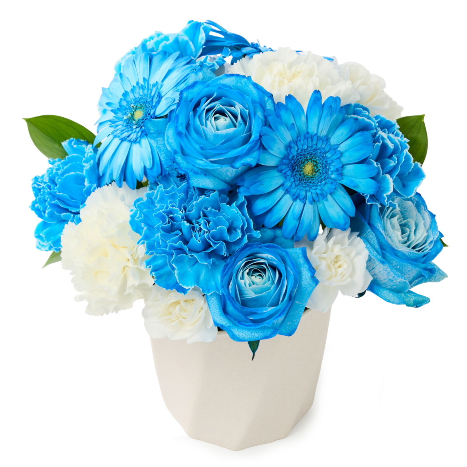 アレンジメント(ブルー) Mサイズ Gift for you カード付き