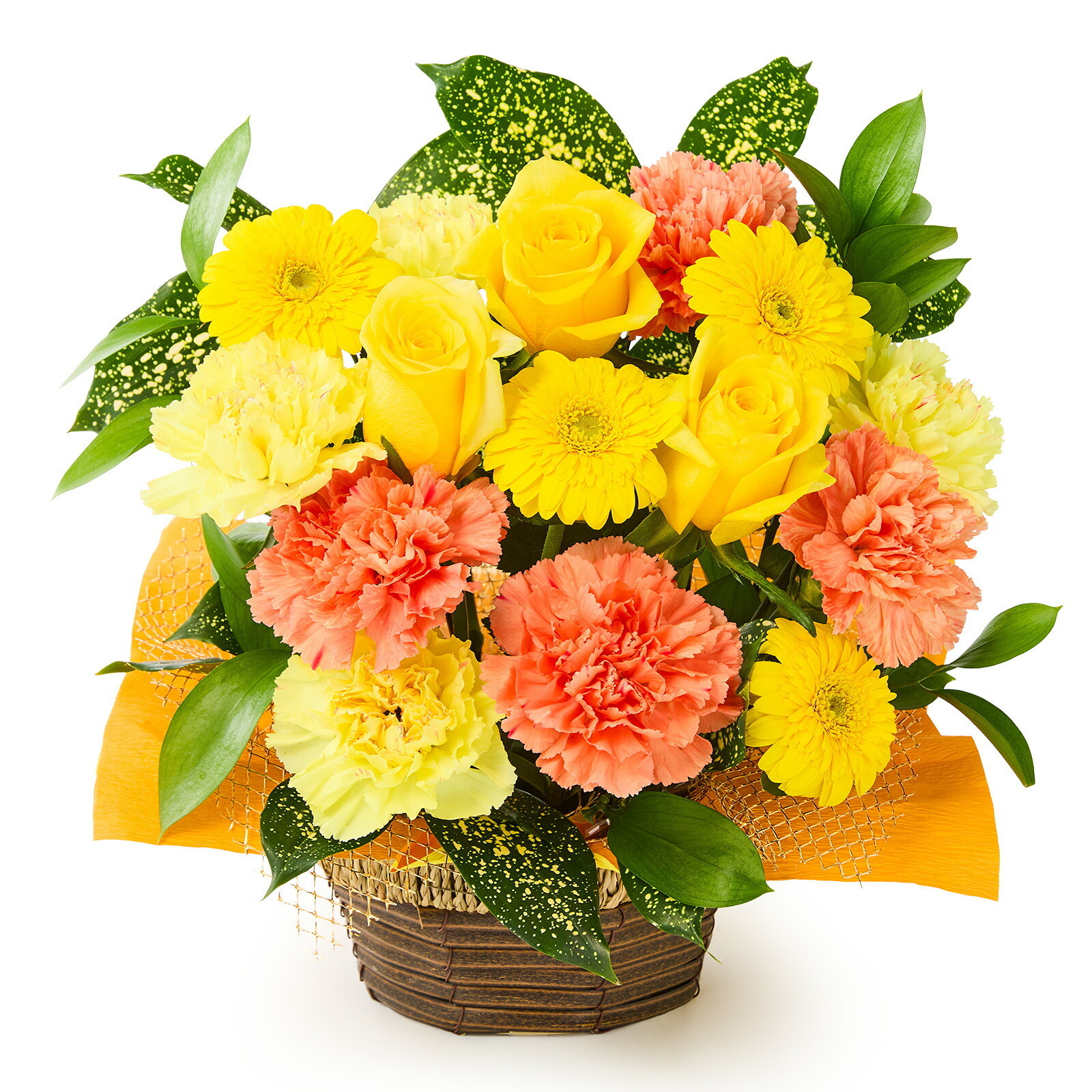 賀寿 長寿祝いアレンジメント(黄) 賀寿カード付き