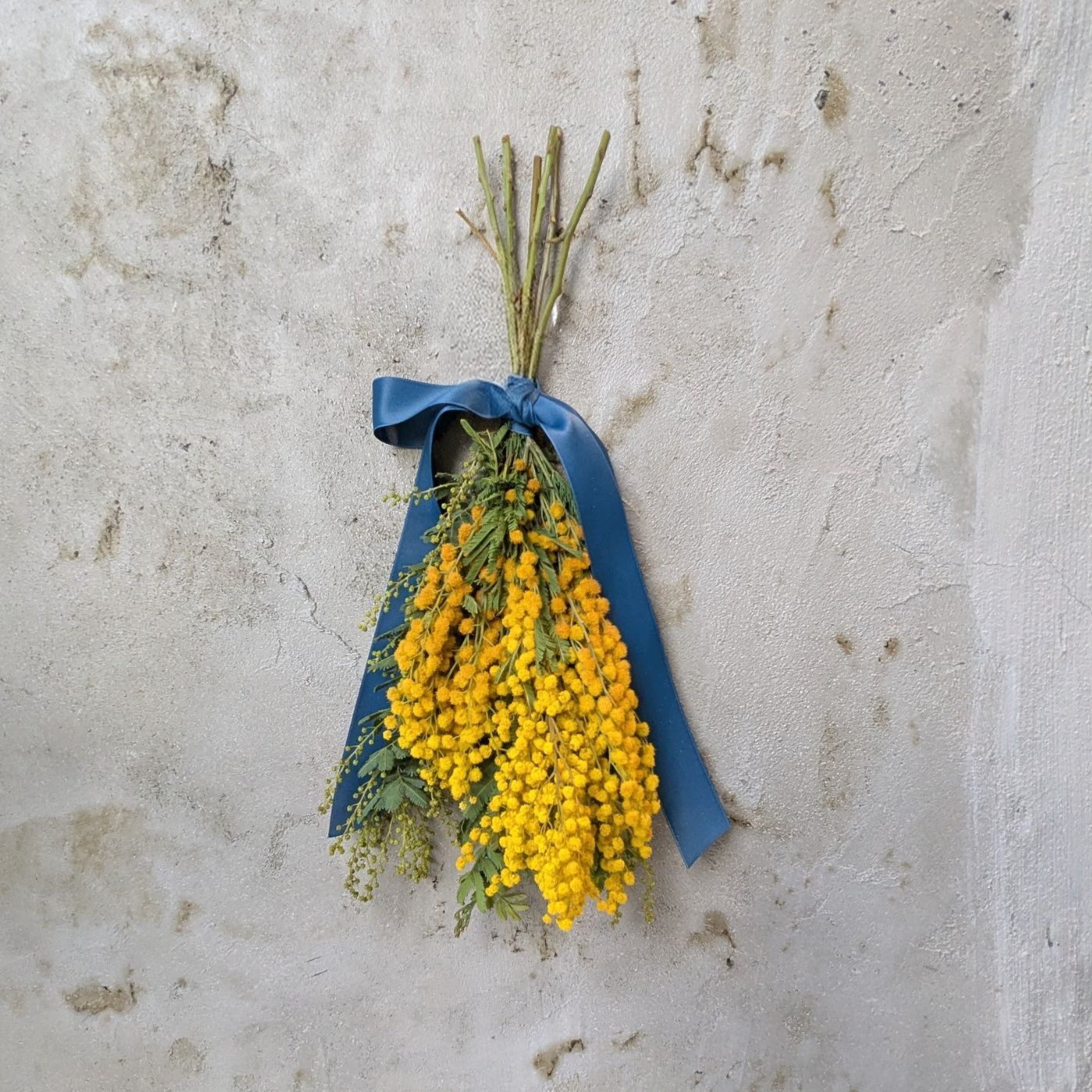 【ミモザ】黄色い幸せスワッグS