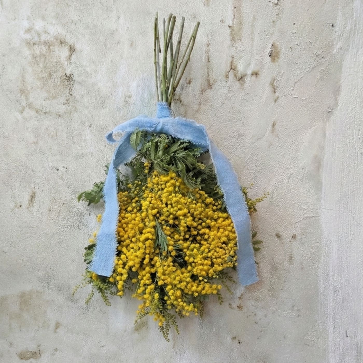 【ミモザ】黄色い幸せスワッグM