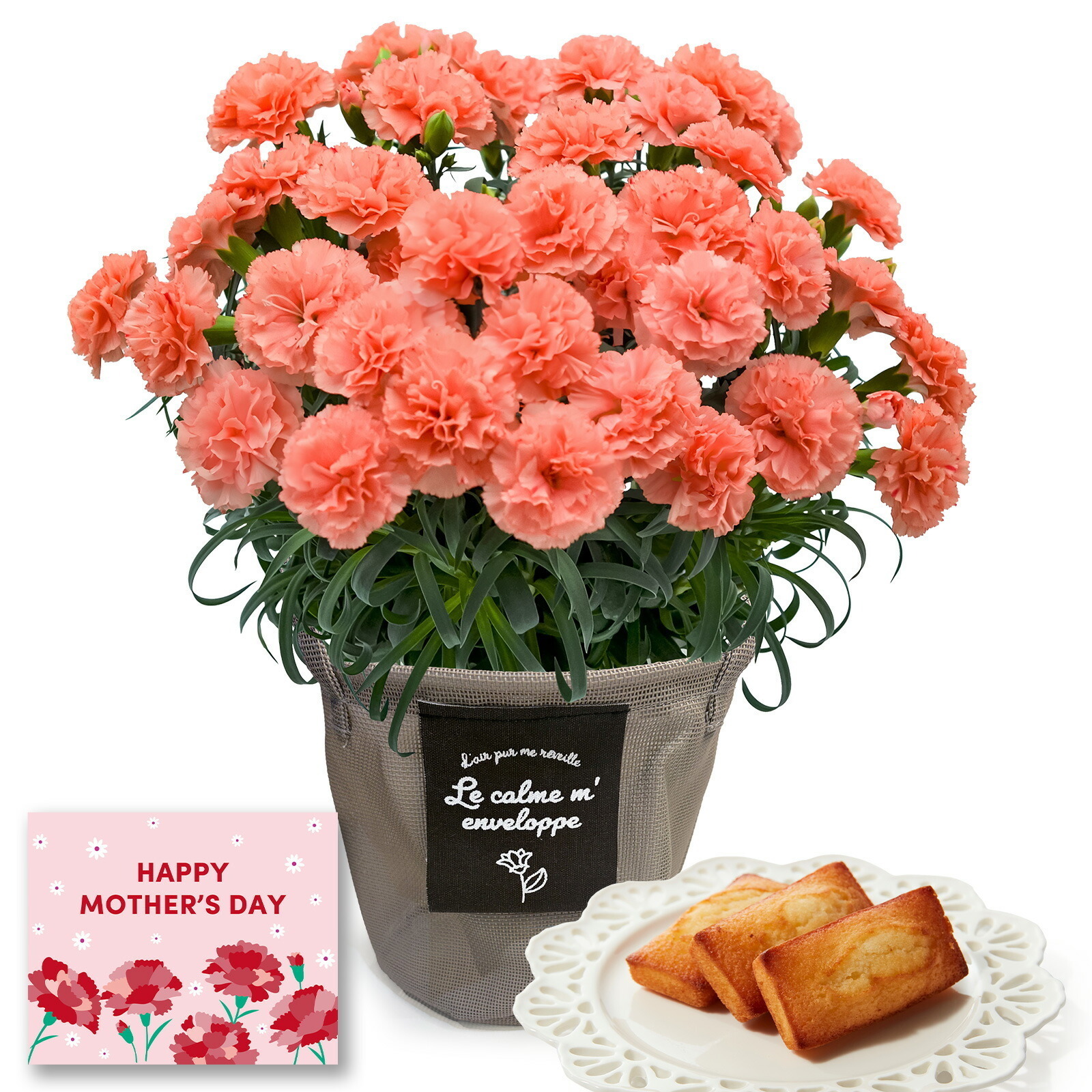 鉢植え カーネーション オレンジ(メープルシフォン) と アンリ・シャルパンティエ フィナンシェ のセット【母の日カード付き】
