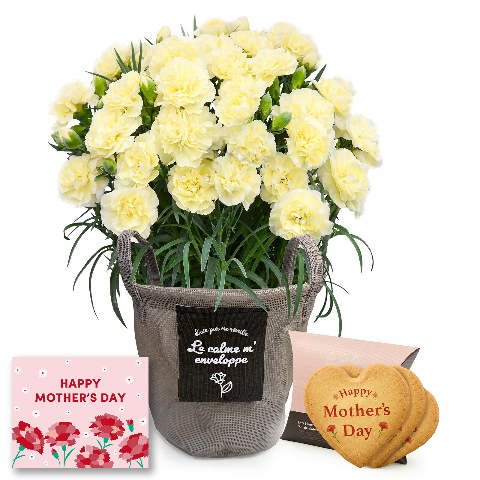 鉢植え カーネーション クリーム(ムーンティアラ)と アンリ・シャルパンティエ しあわせサブレ のセット【母の日カード付き】