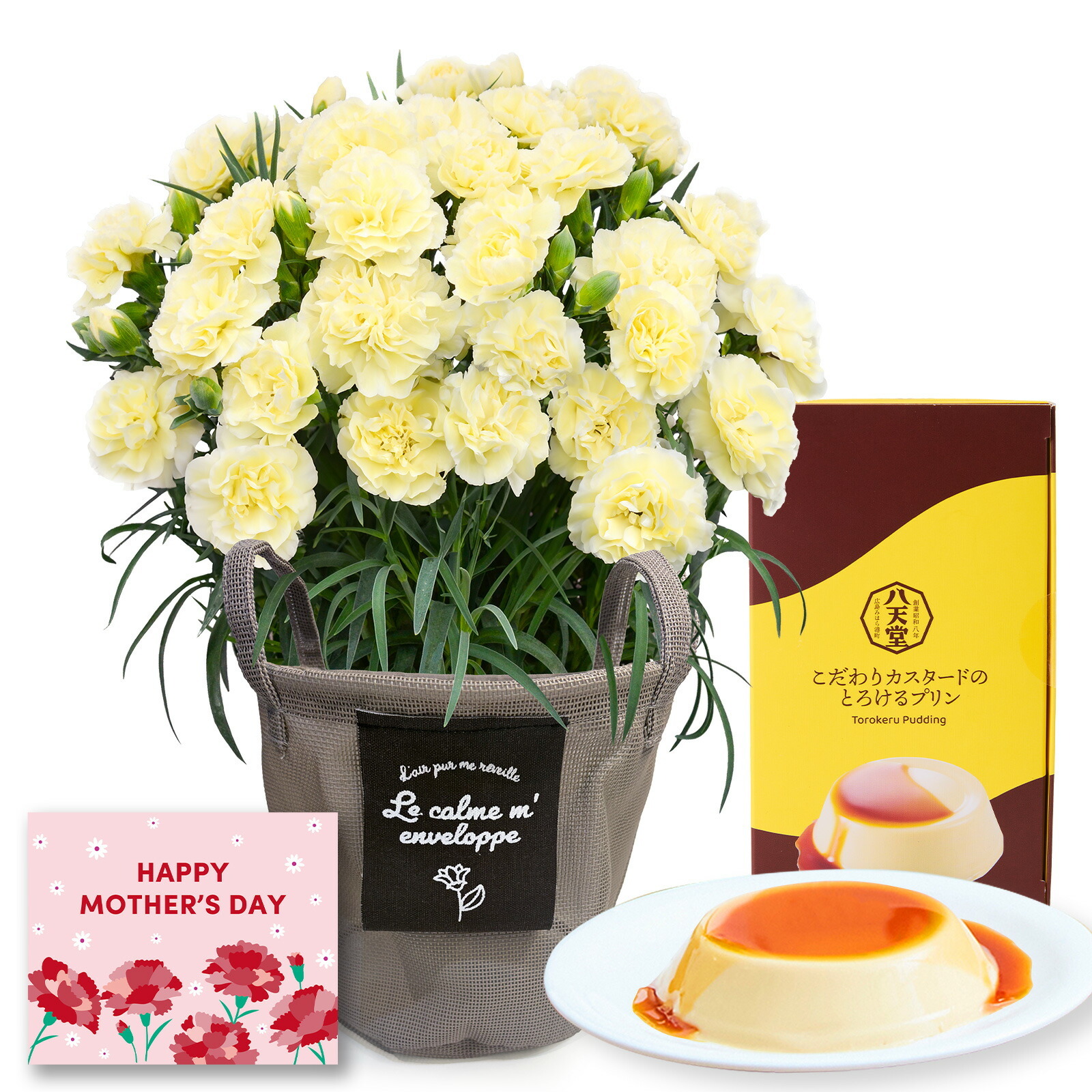 鉢植え カーネーション クリーム(ムーンティアラ)と 八天堂プリン のセット【母の日カード付き】