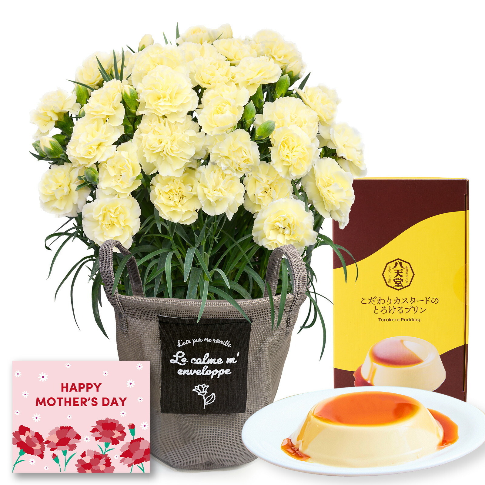 鉢植え カーネーション クリーム(ムーンティアラ)と 八天堂プリン のセット【母の日カード付き】