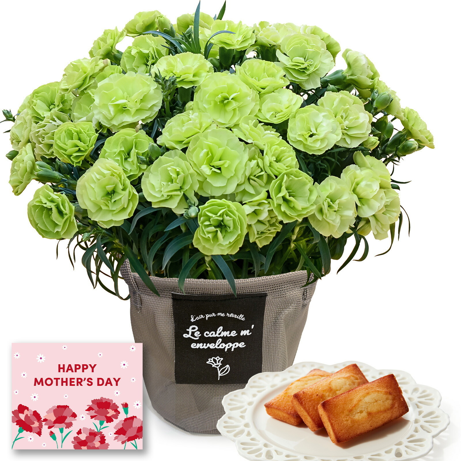 鉢植え カーネーション 緑色(スフェン) と アンリ・シャルパンティエ フィナンシェ のセット【母の日カード付き】