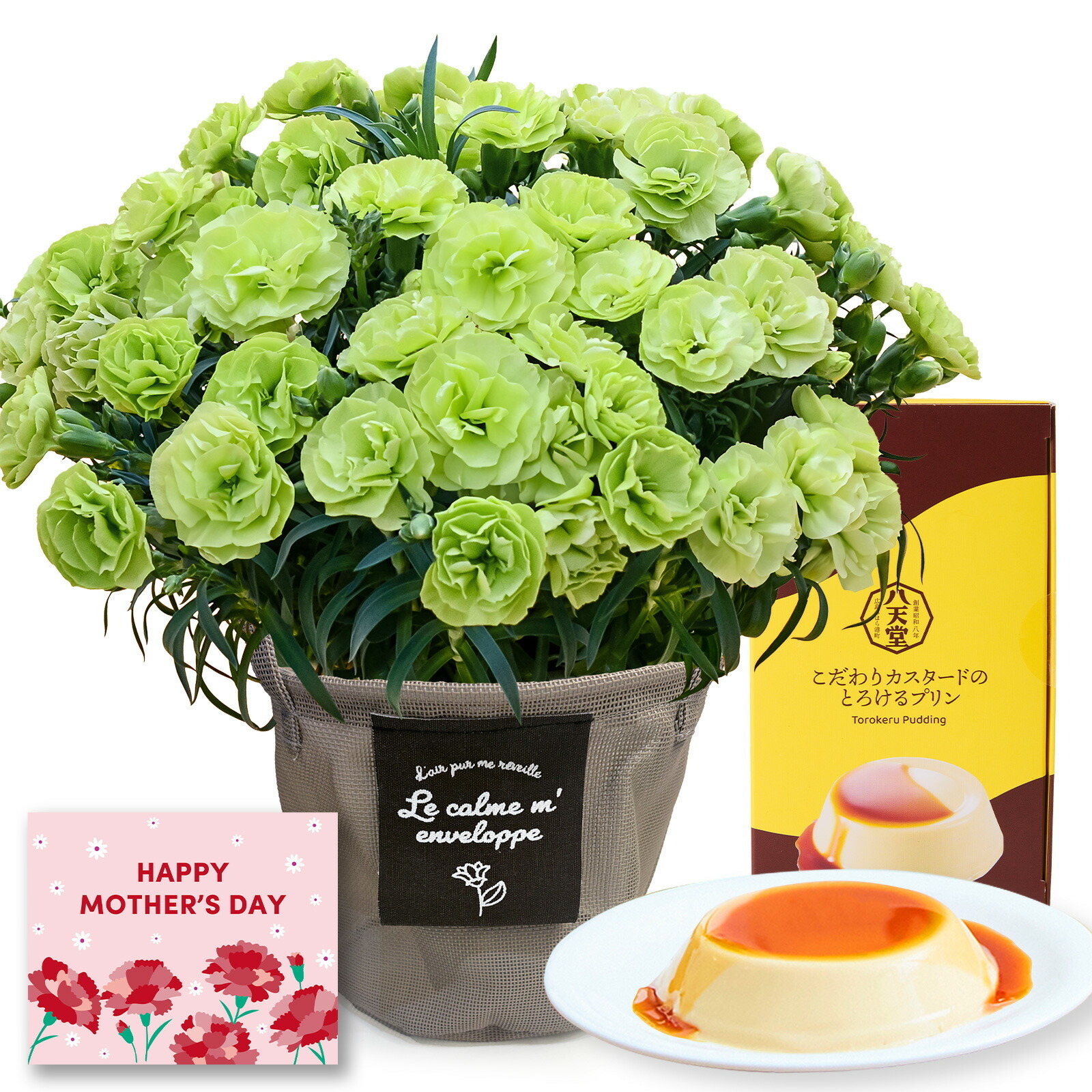 鉢植え カーネーション 緑色(スフェン) と 八天堂プリン のセット【母の日カード付き】