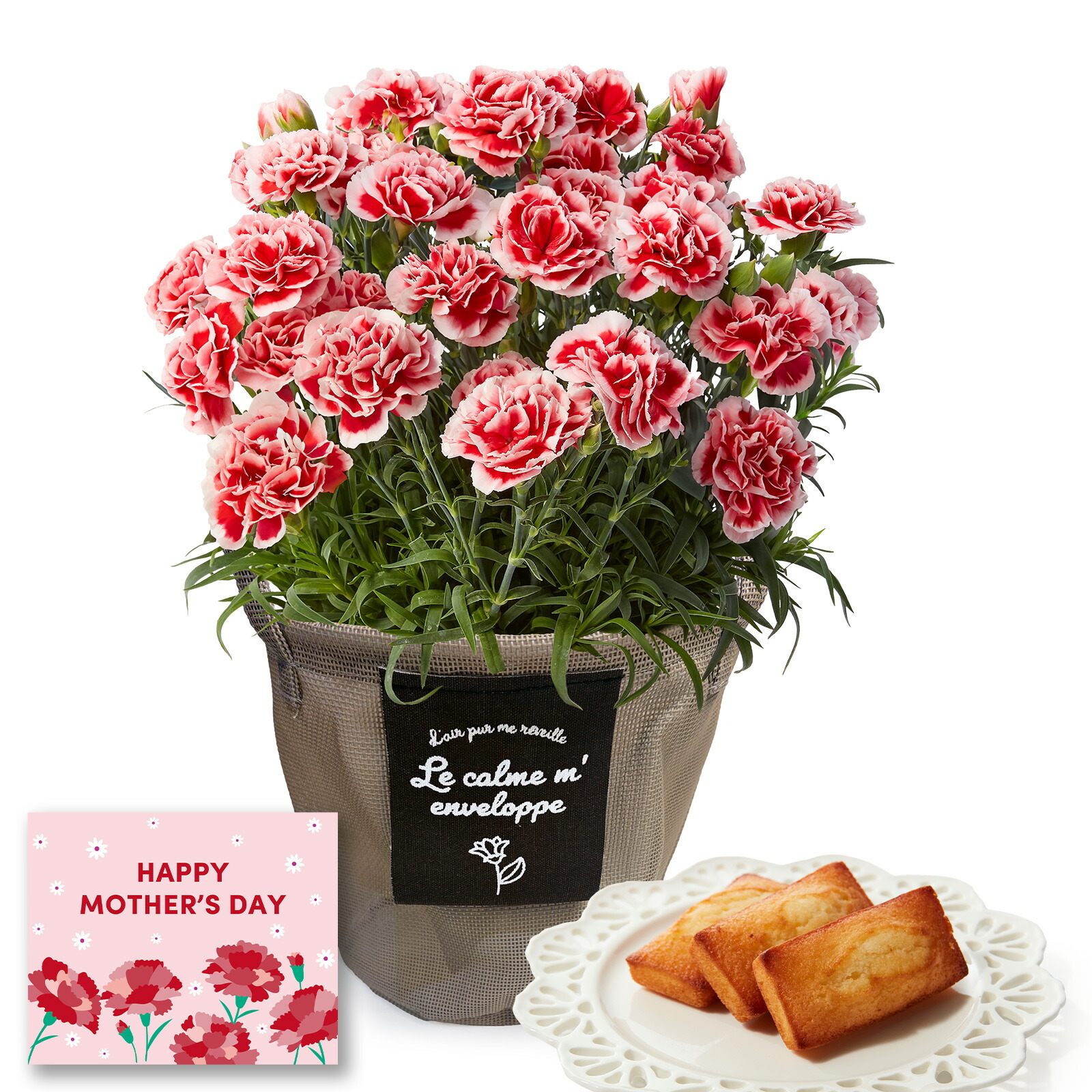 鉢植え カーネーション いちごホイップ と アンリ・シャルパンティエ フィナンシェ のセット【母の日カード付き】