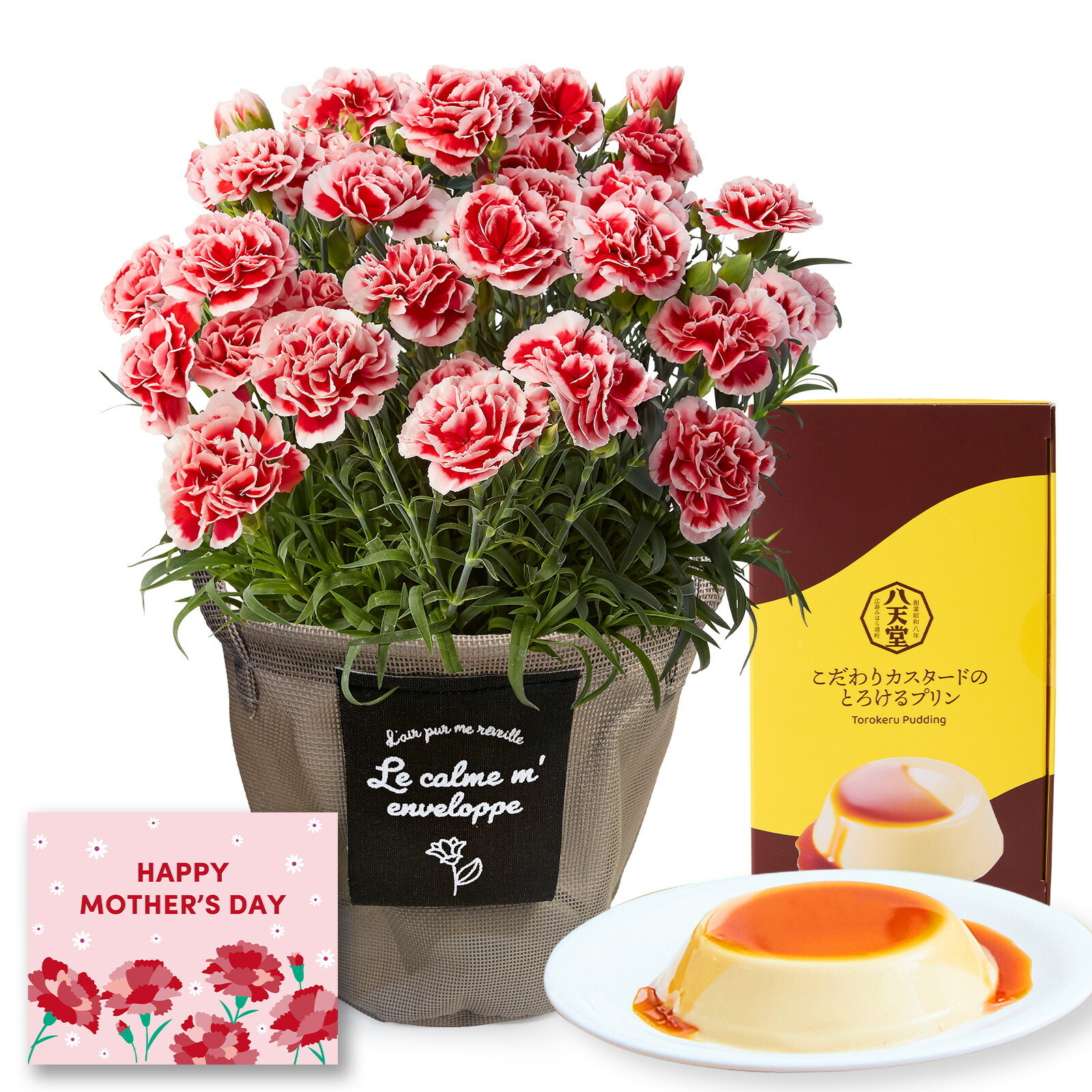 鉢植え カーネーション いちごホイップ と 八天堂プリン のセット【母の日カード付き】