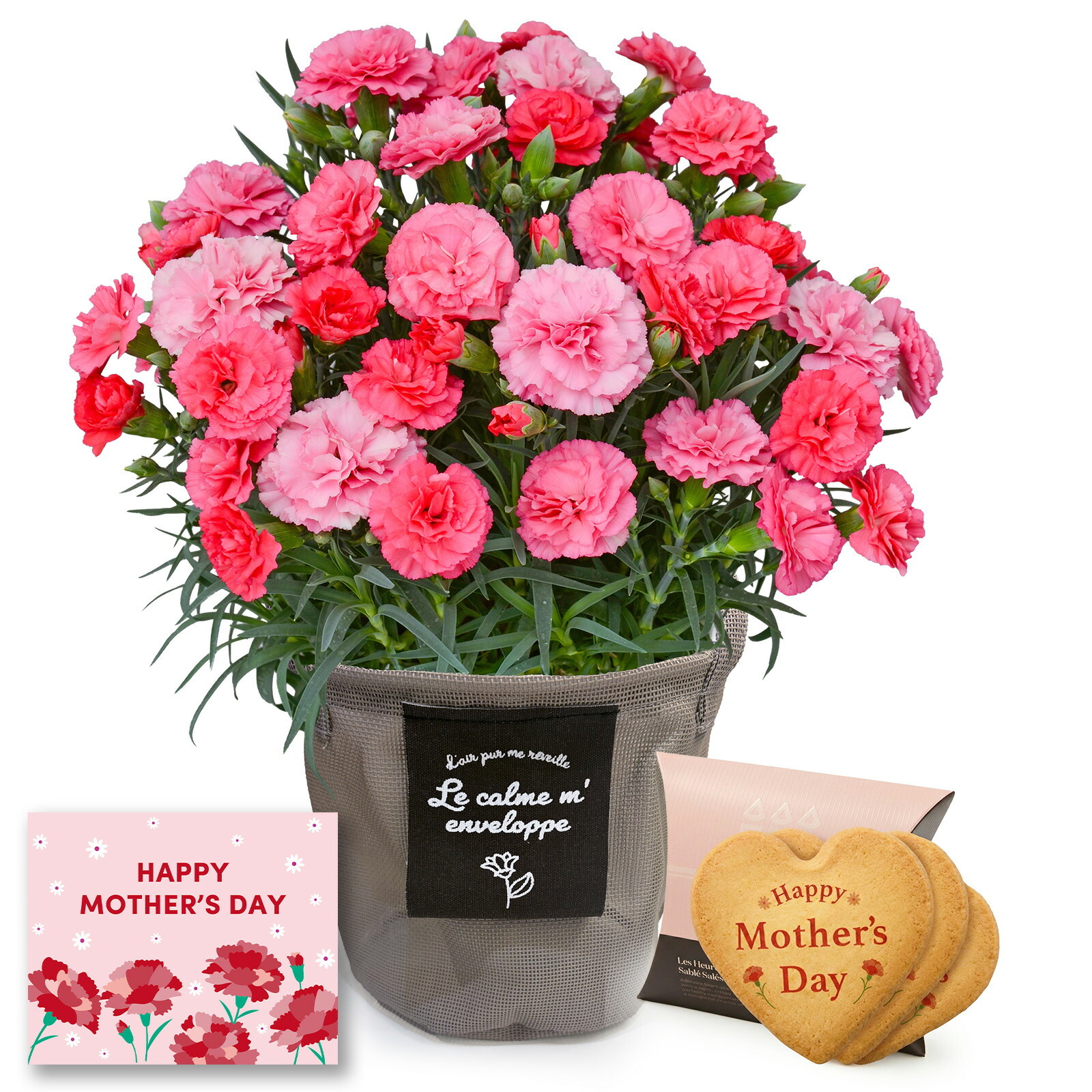 鉢植え カーネーション さくらもなか と アンリ・シャルパンティエ しあわせサブレ のセット【母の日カード付き】