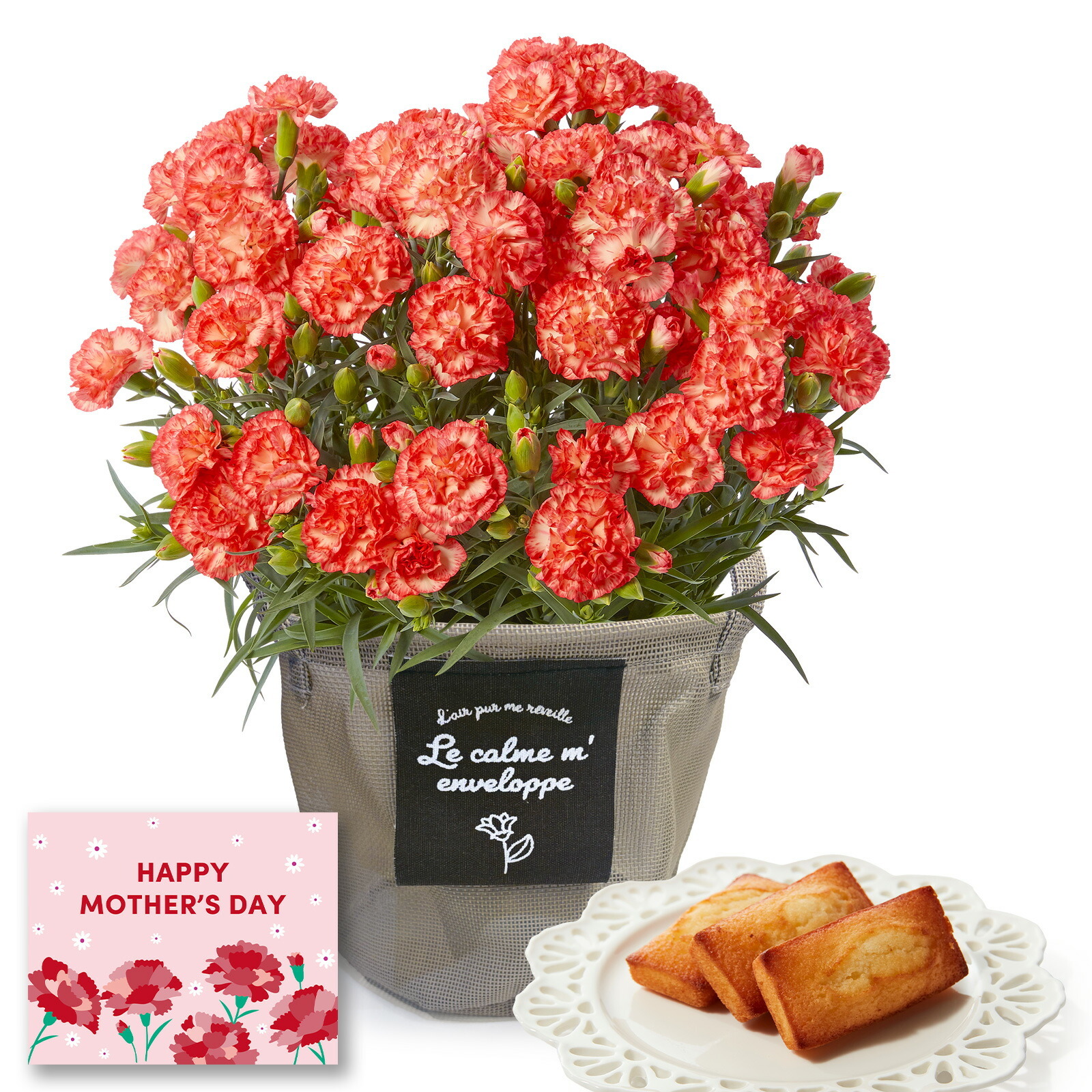 鉢植え カーネーション オレンジ(テキーラ) と アンリ・シャルパンティエ フィナンシェ のセット【母の日カード付き】