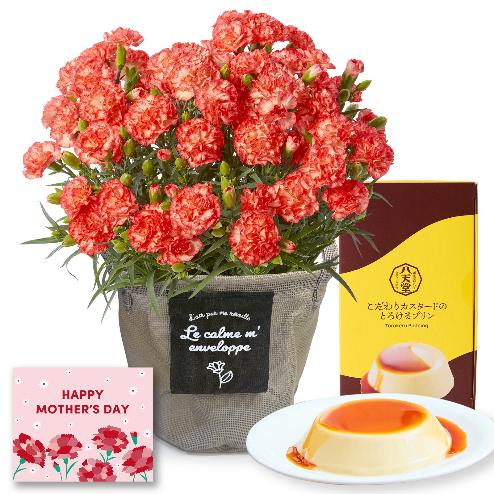 鉢植え カーネーション オレンジ(テキーラ) と 八天堂プリン のセット【母の日カード付き】