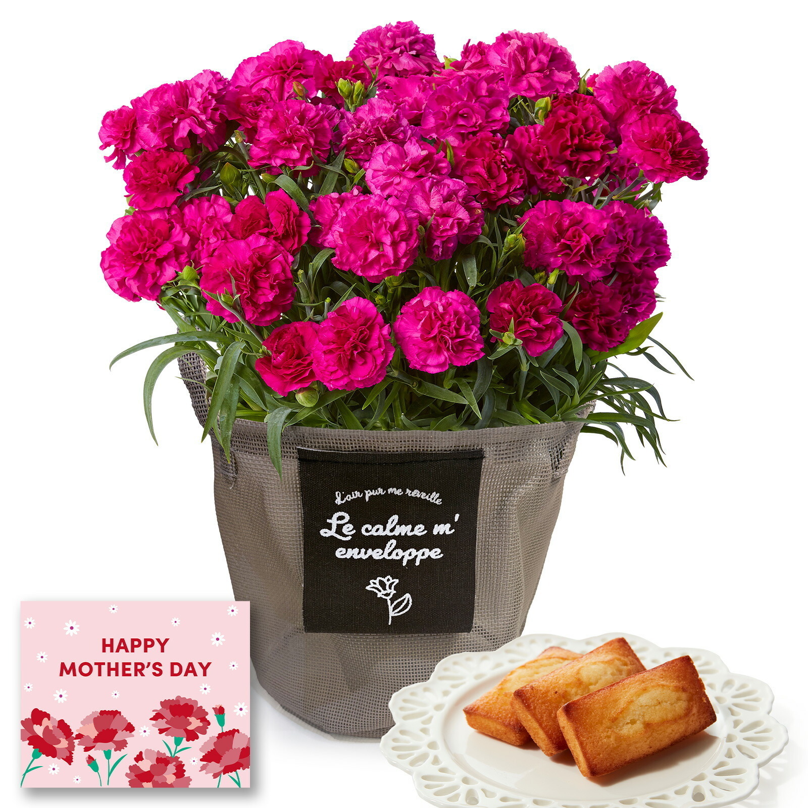 鉢植え カーネーション 紫色(ムジカ)と アンリ・シャルパンティエ フィナンシェ のセット【母の日カード付き】