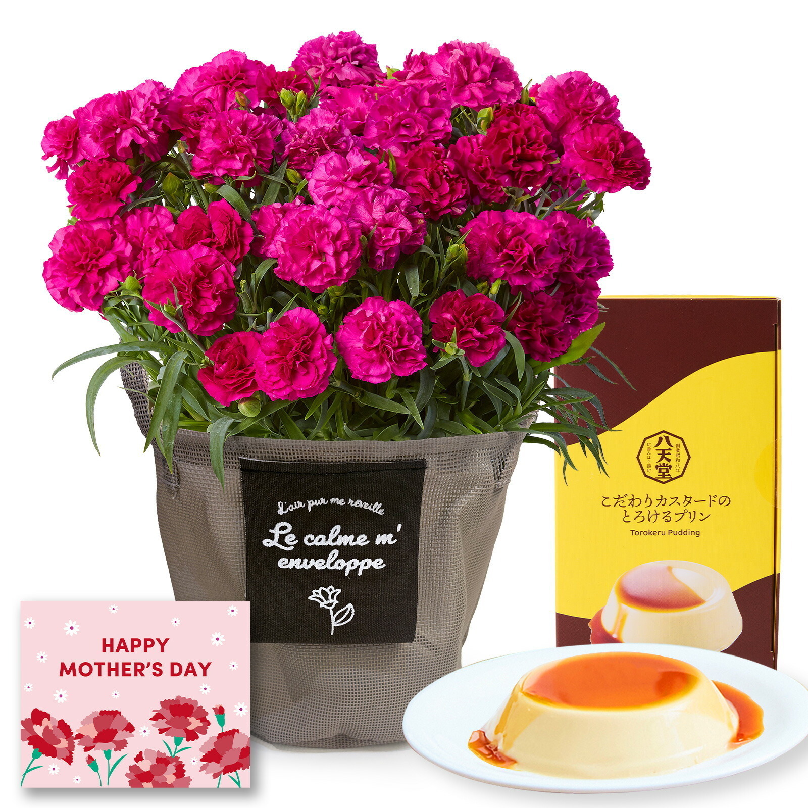 鉢植え カーネーション 紫色(ムジカ) と 八天堂プリン のセット【母の日カード付き】