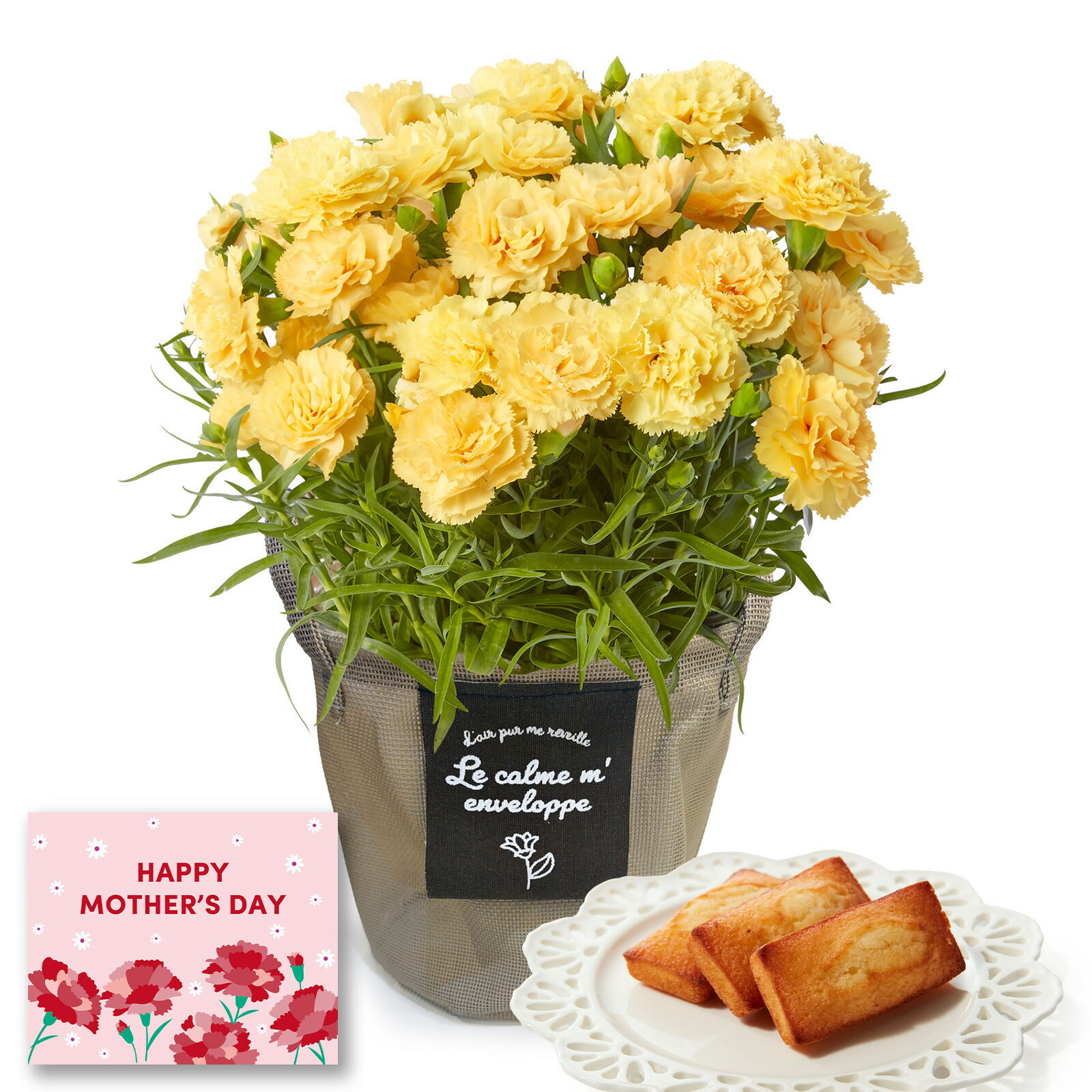 鉢植え カーネーション 黄色(ハニームーン)と アンリ・シャルパンティエ フィナンシェ のセット【母の日カード付き】