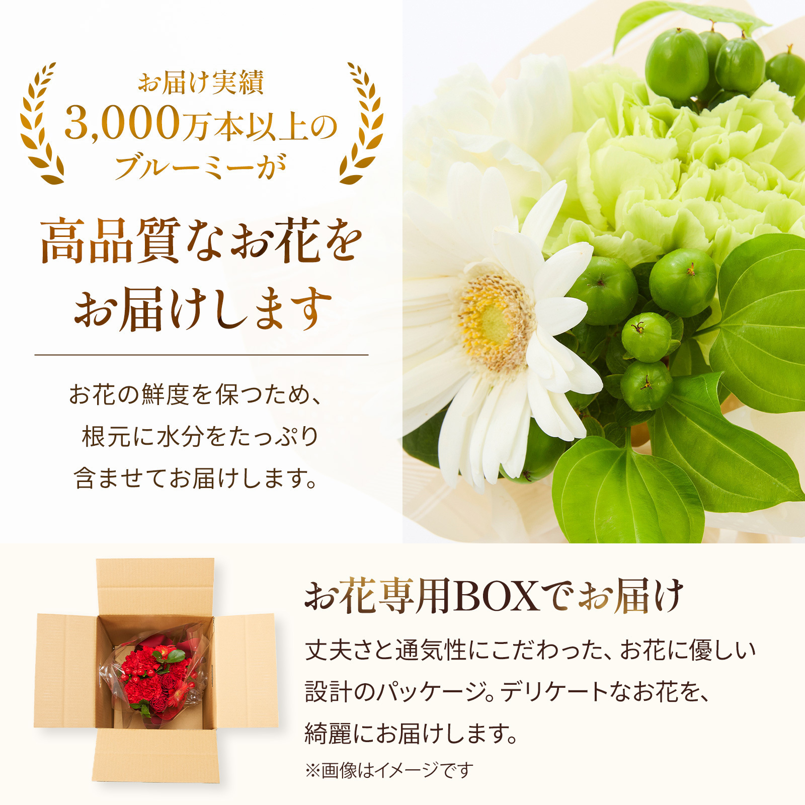 そのまま飾れるブーケ XSサイズ ホワイト【母の日カード付き】