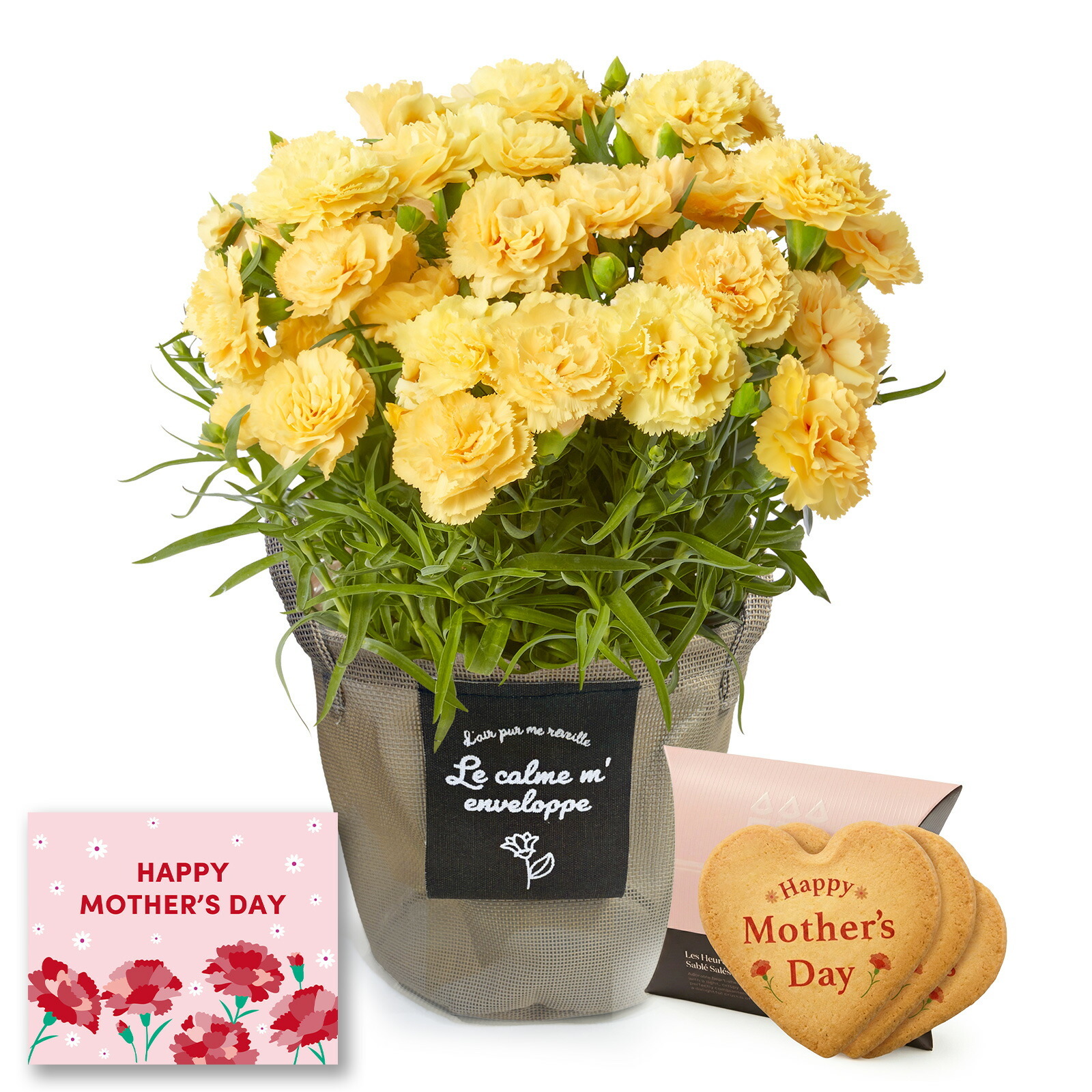 鉢植え カーネーション 黄色(ハニームーン) と アンリ・シャルパンティエ しあわせサブレ のセット【母の日カード付き】