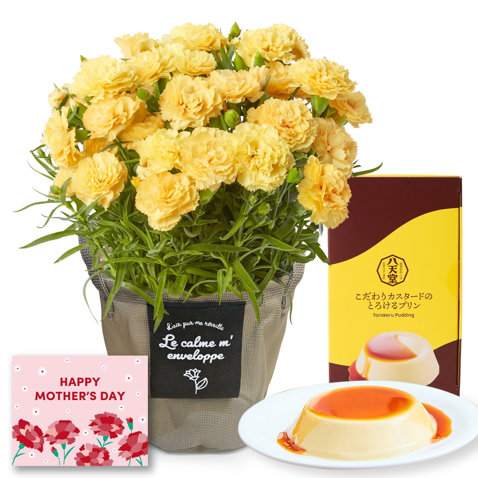 鉢植え カーネーション 黄色(ハニームーン) と 八天堂プリン のセット【母の日カード付き】
