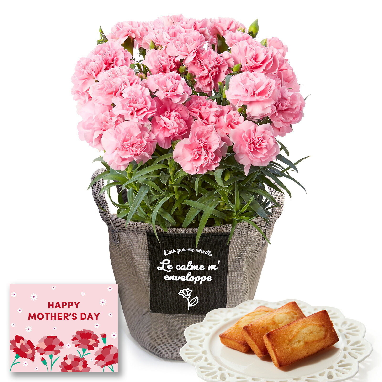 鉢植え カーネーション ピンク(クレア) と アンリ・シャルパンティエ フィナンシェ のセット【母の日カード付き】