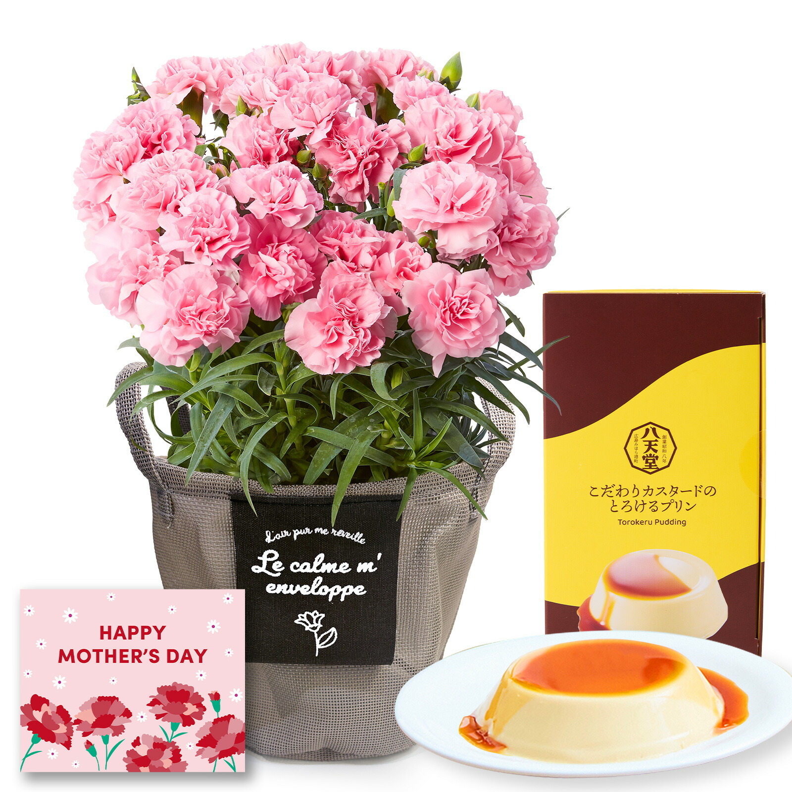 鉢植え カーネーション ピンク(クレア) と 八天堂プリン のセット【母の日カード付き】