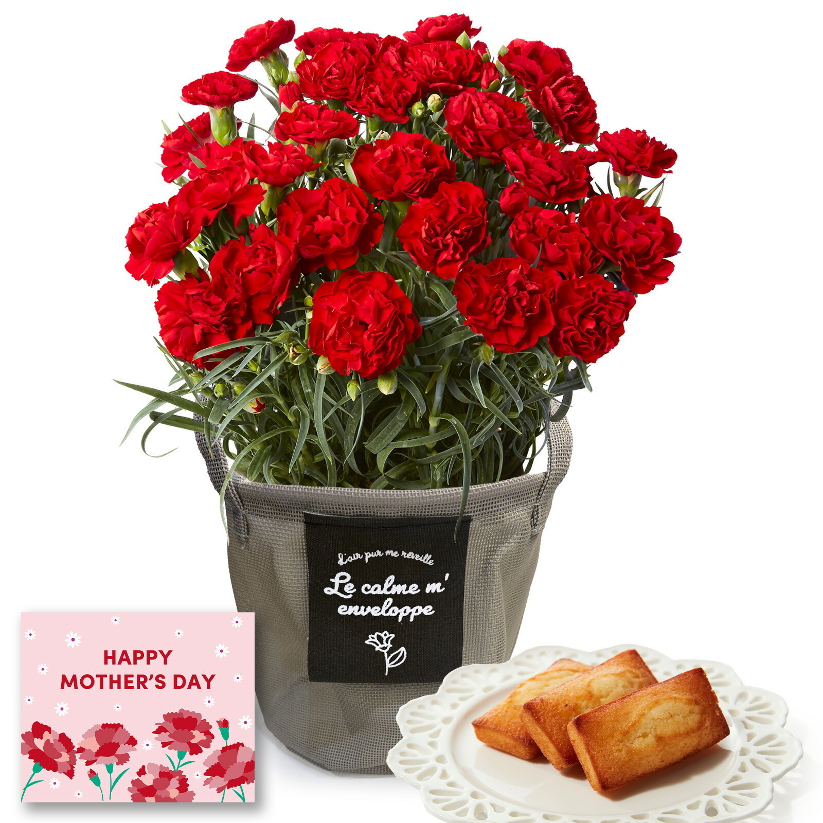 鉢植え カーネーション 赤色と アンリ・シャルパンティエ フィナンシェ のセット【母の日カード付き】