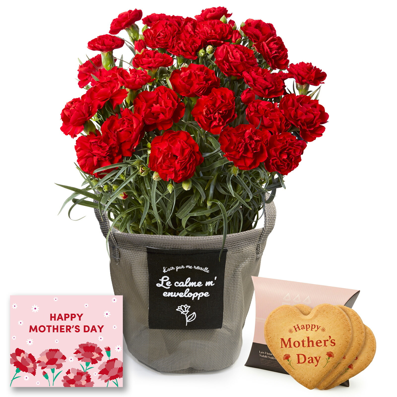 鉢植え カーネーション 赤色 と アンリ・シャルパンティエ しあわせサブレ のセット【母の日カード付き】