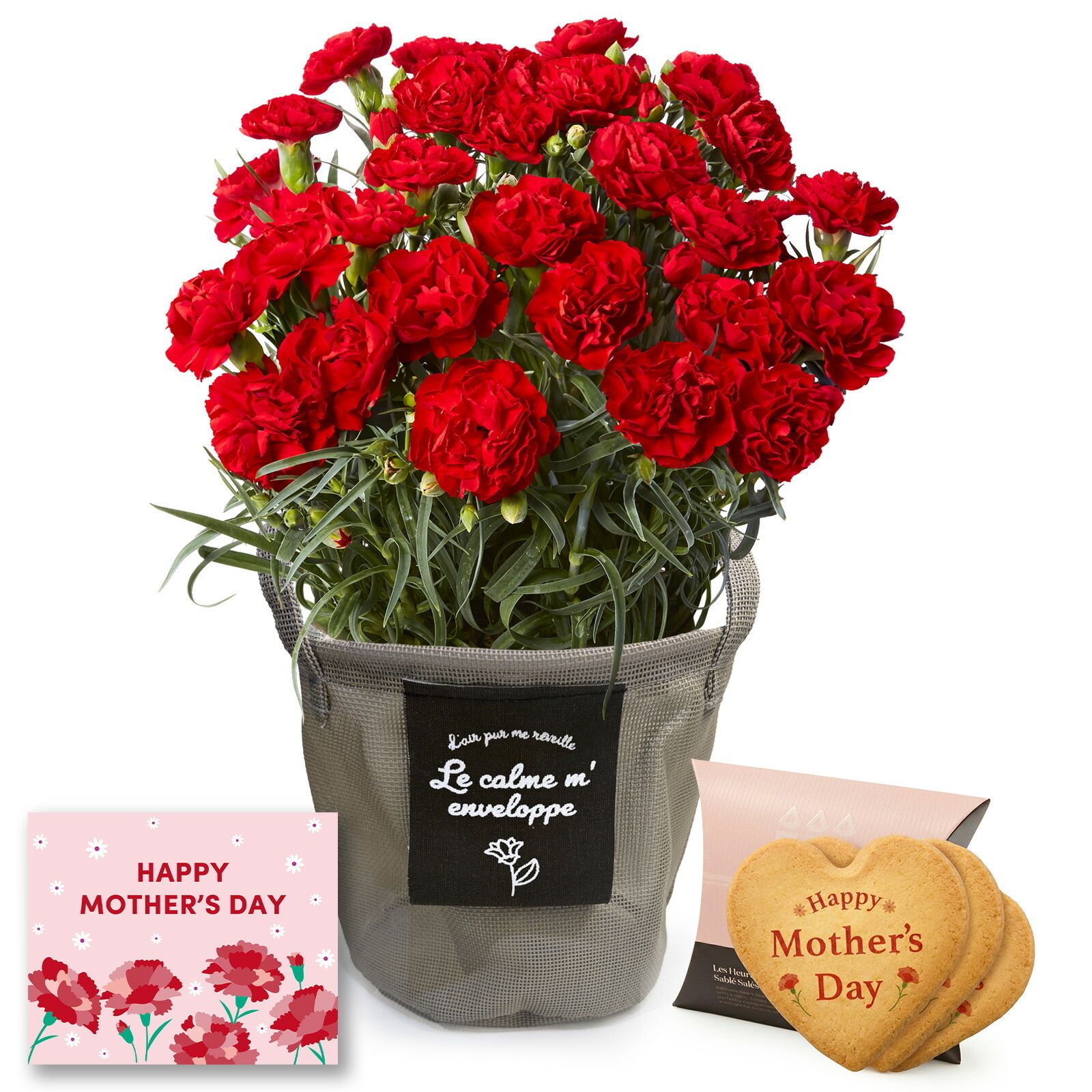 鉢植え カーネーション 赤色 と アンリ・シャルパンティエ しあわせサブレ のセット【母の日カード付き】
