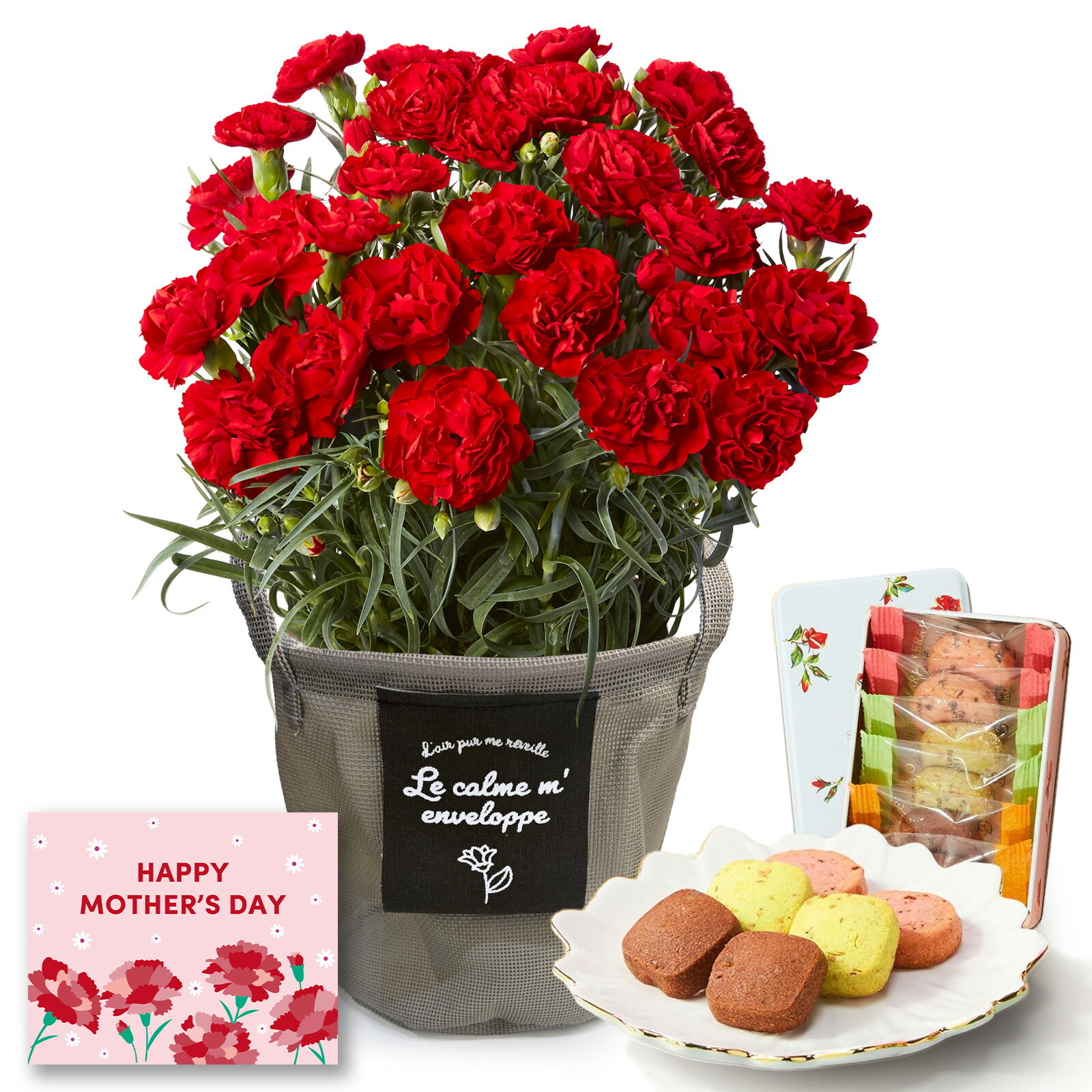 鉢植え カーネーション 赤色 と 銀座千疋屋クッキー のセット【母の日カード付き】