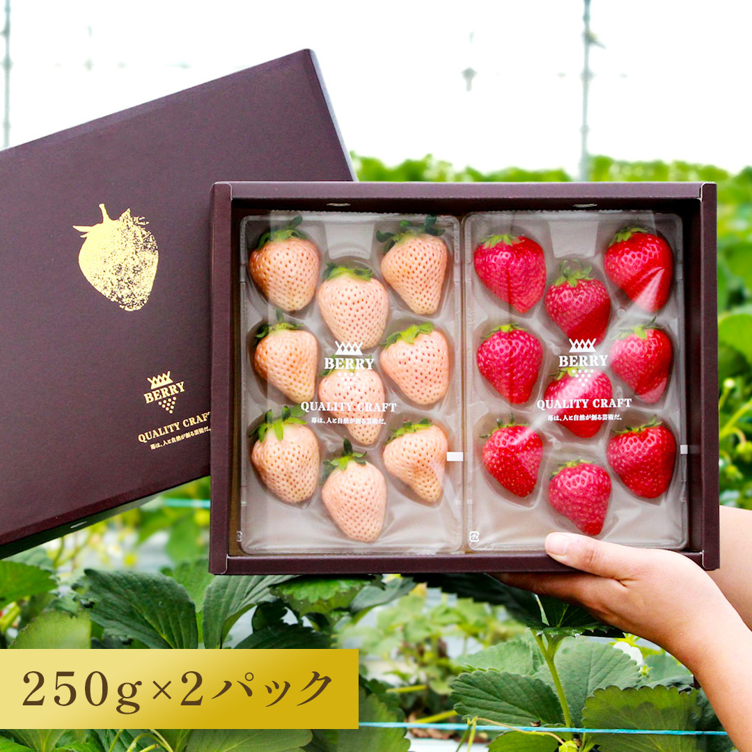 【3/29(日)まで】旬の完熟いちご　食べ比べ紅白いちごセット（250g x 2）