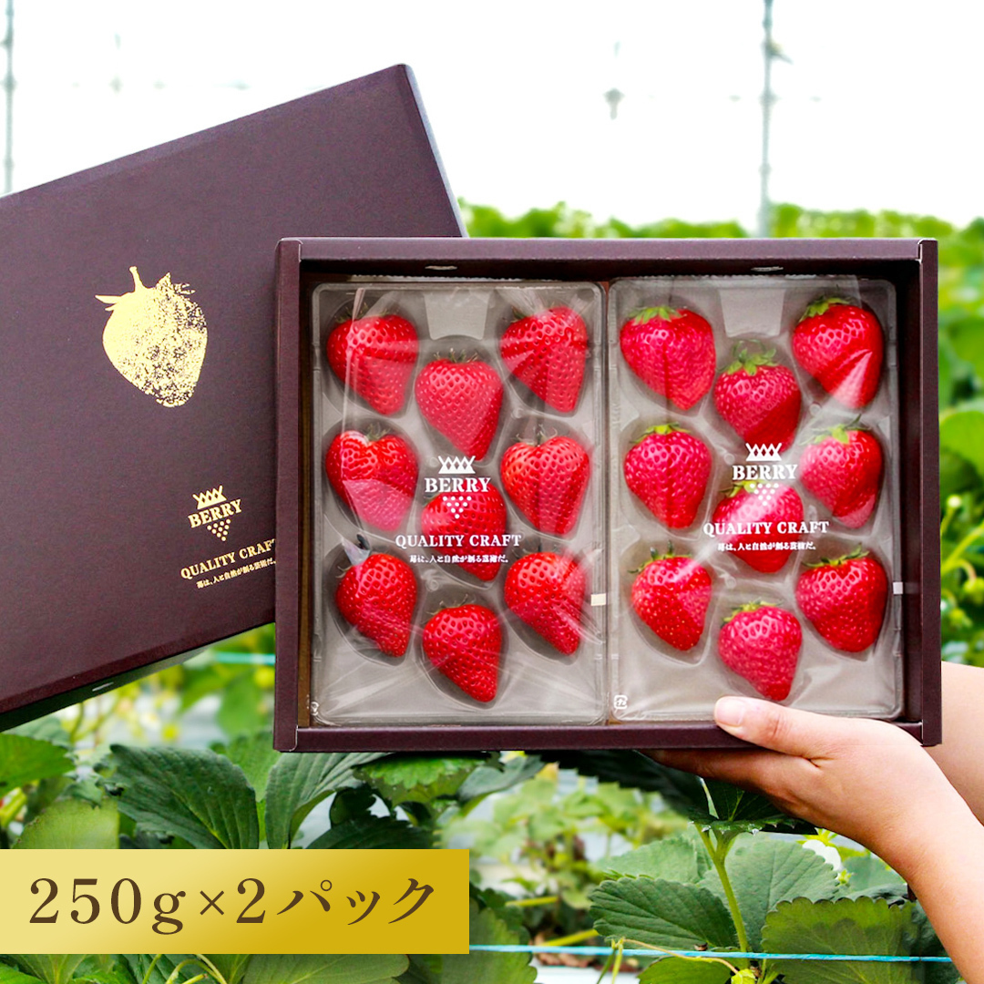 【旬のいちご】完熟　赤いちごセット（250g x 2）
